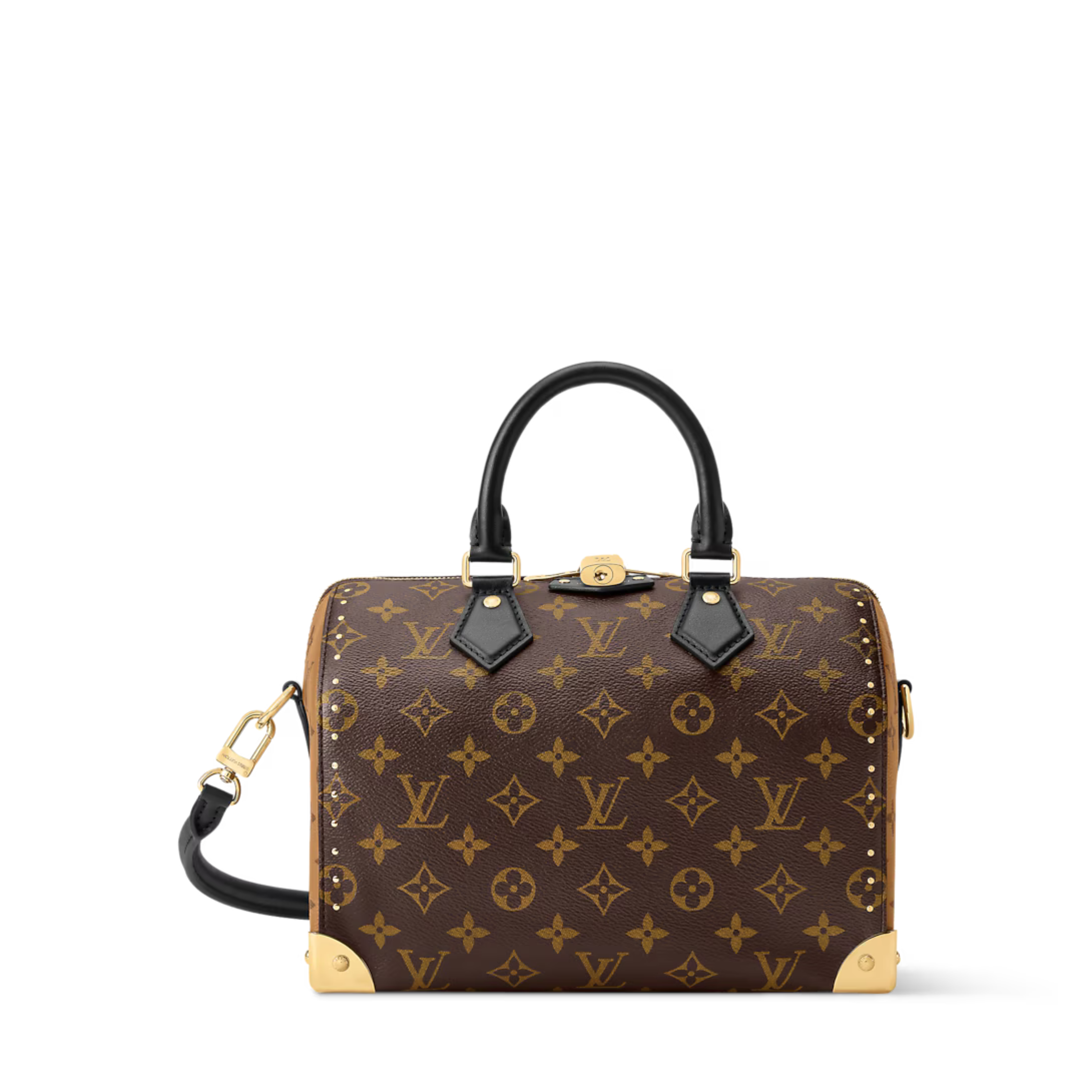Louis Vuitton Speedy 25 Trunk Bag