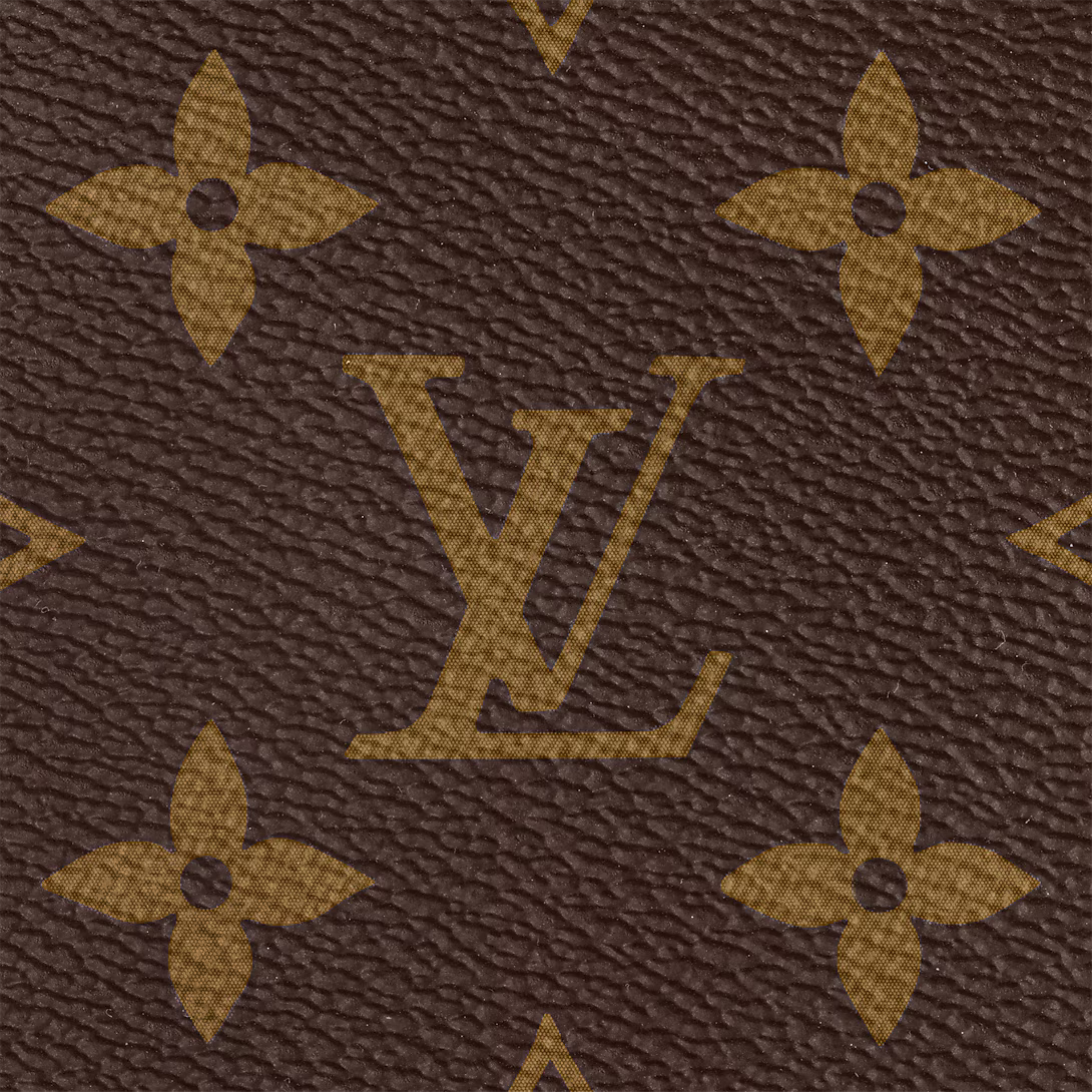Louis Vuitton Multi Pochette Accessoires Bag