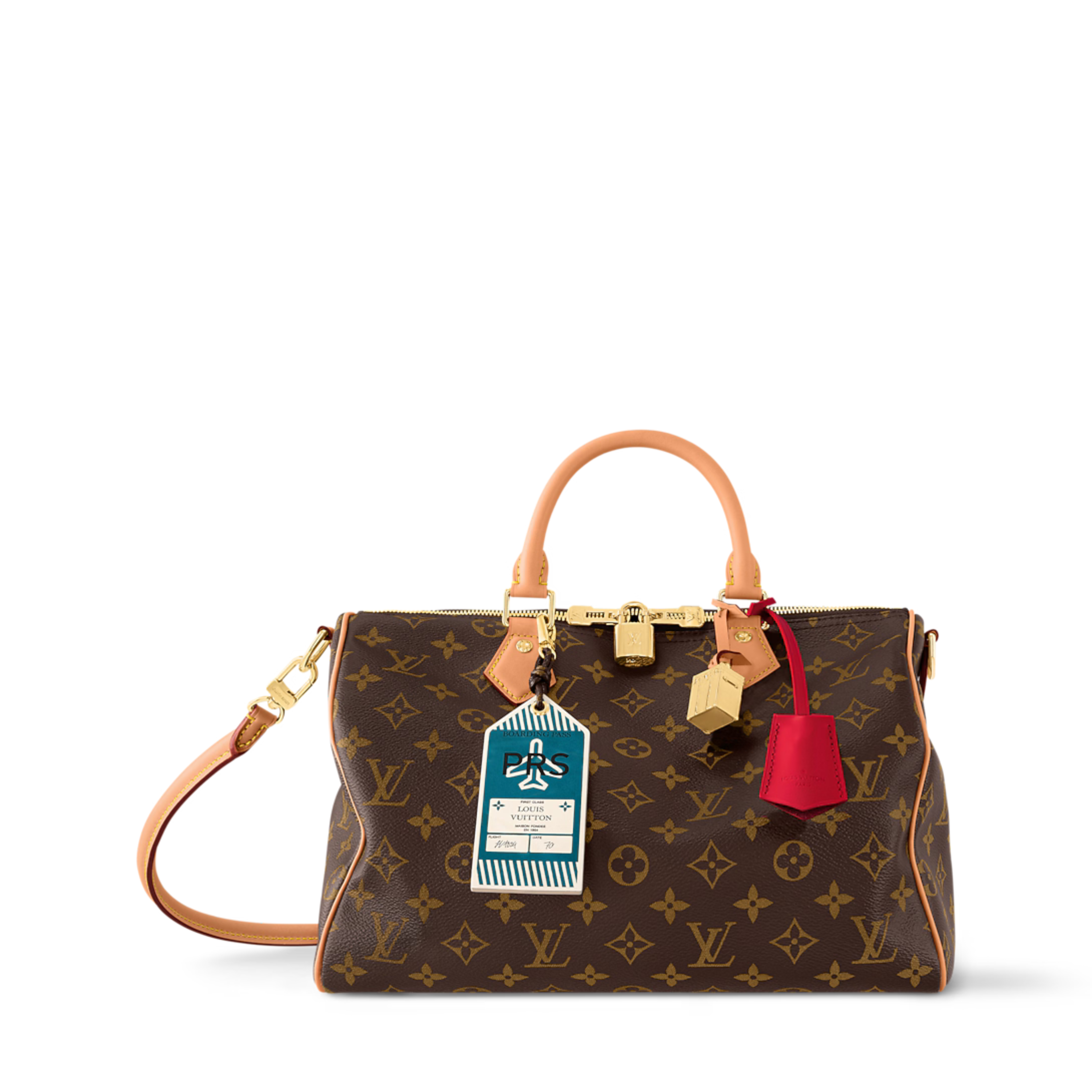 Louis Vuitton Speedy Soft 30 Crafty Bag