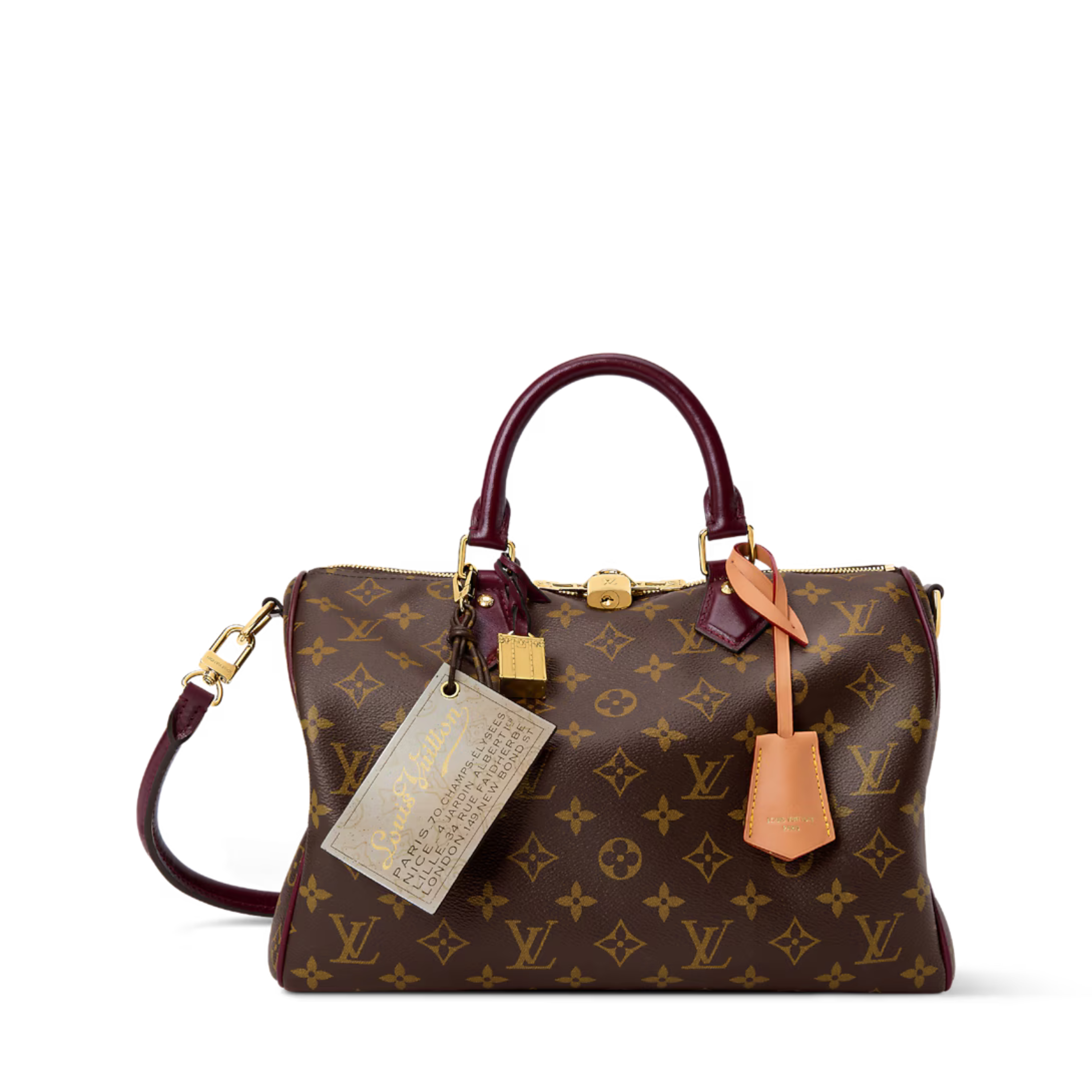 Louis Vuitton Speedy Soft 30 Celebration Bag