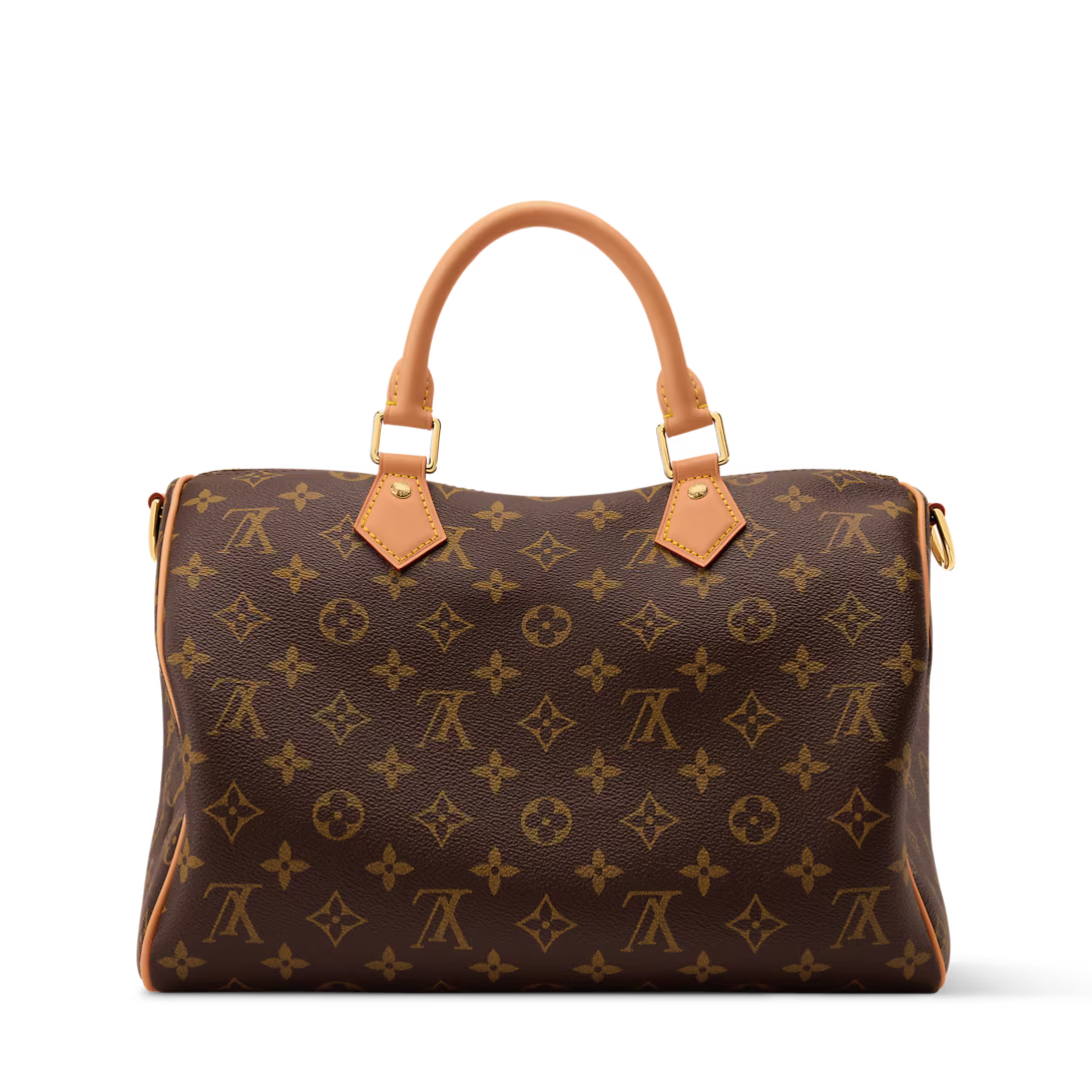 Louis Vuitton Speedy Soft 30 Bag