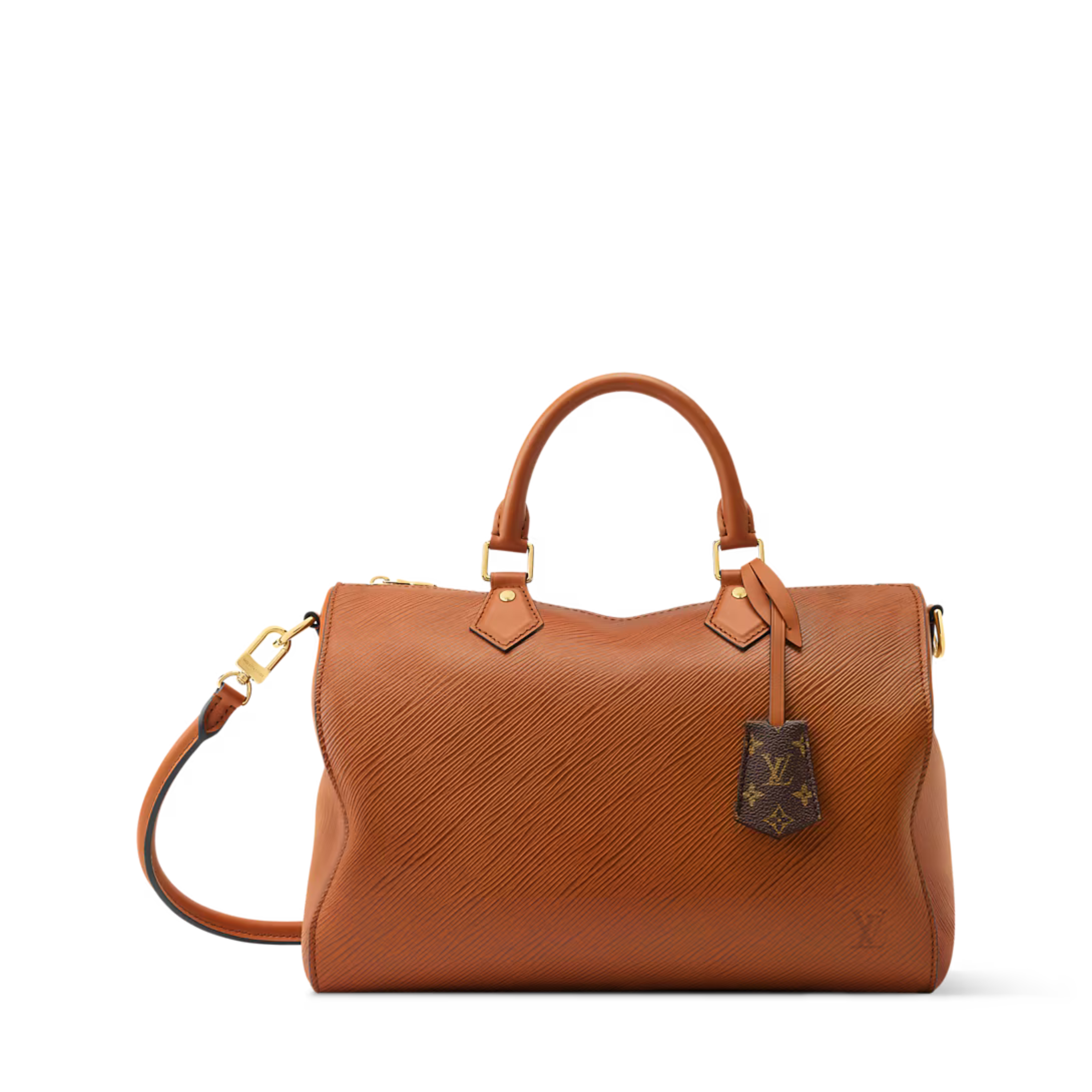 Louis Vuitton Speedy Soft 30 Bag