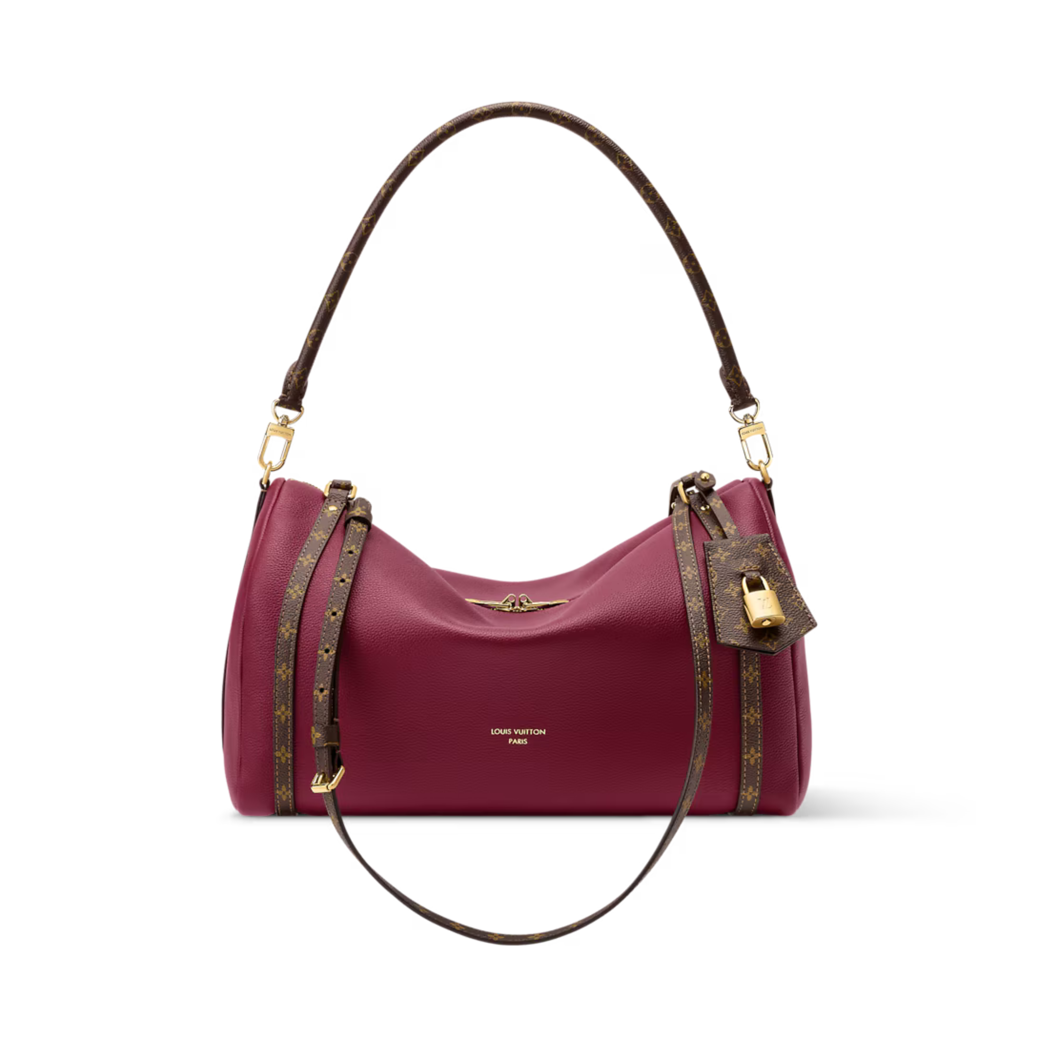 Louis Vuitton Express MM Bag