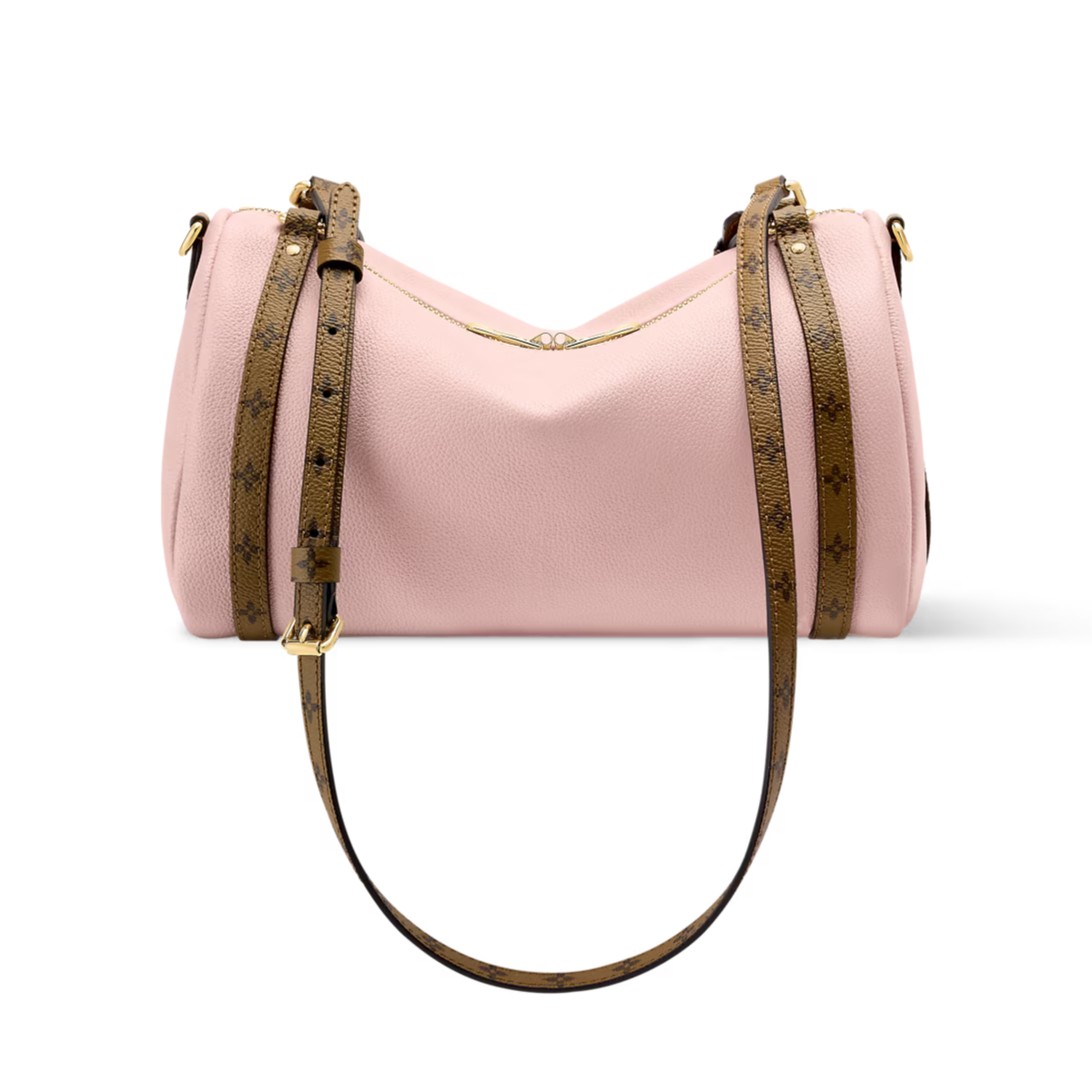 Louis Vuitton Express PM Bag