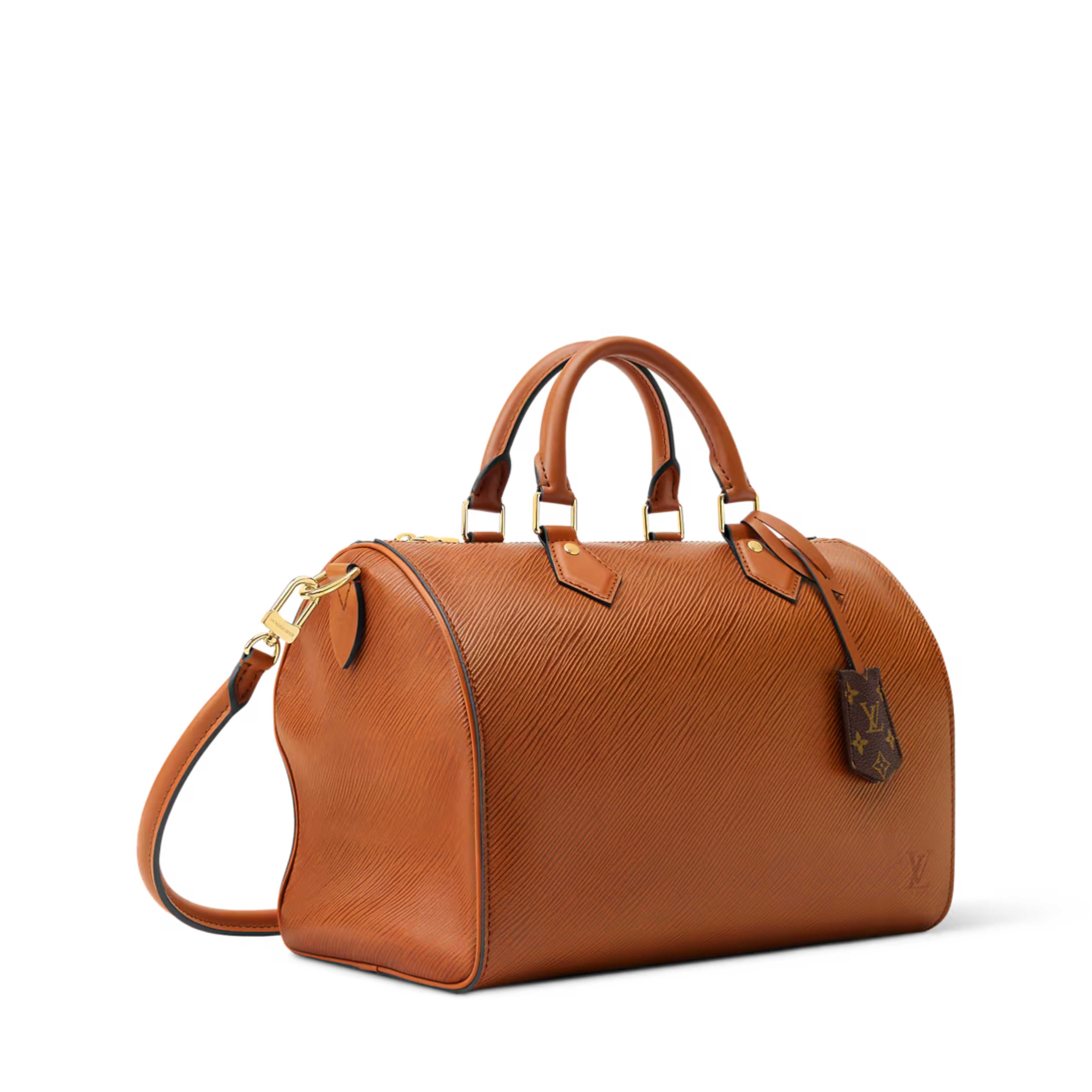 Louis Vuitton Speedy Soft 30 Bag