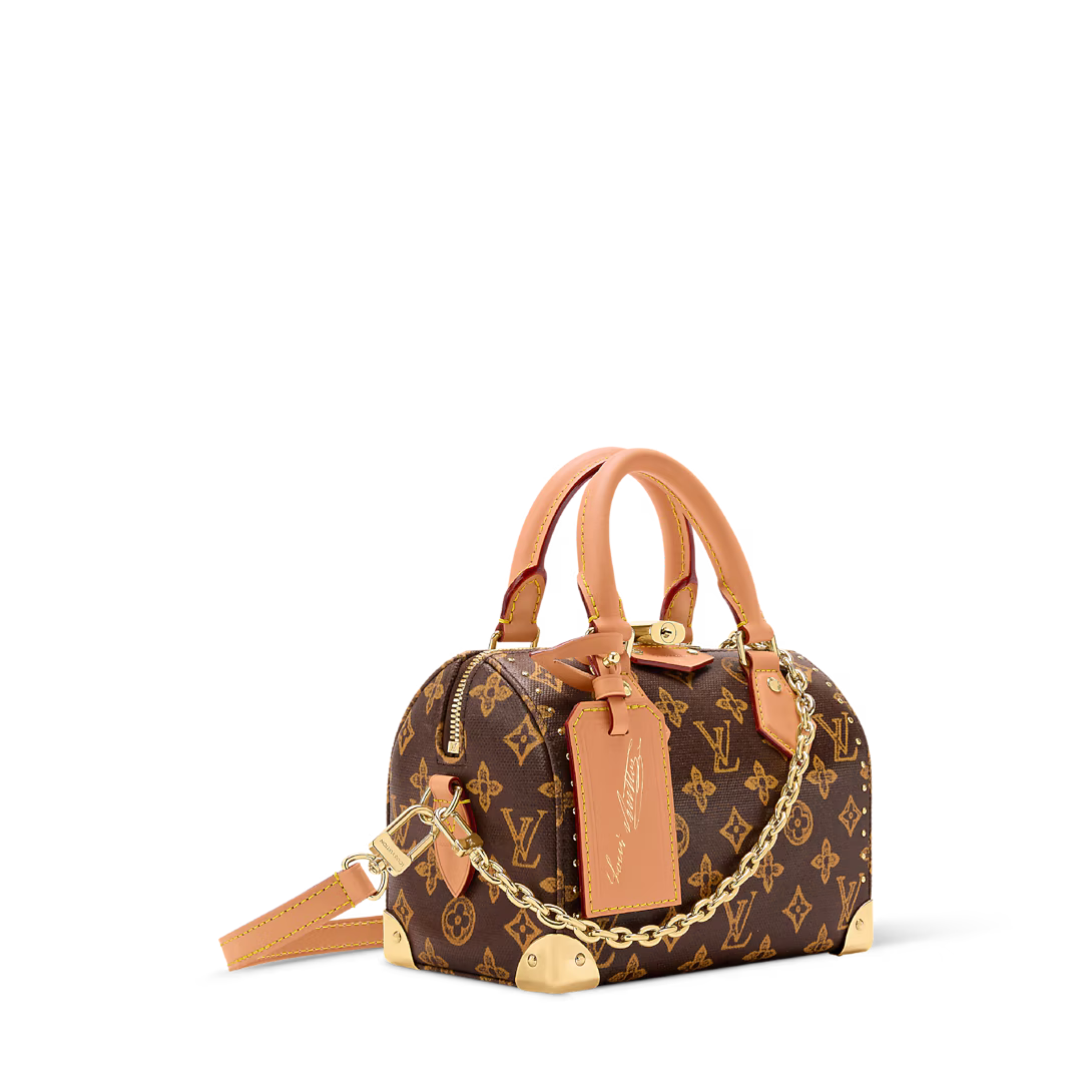 Louis Vuitton Speedy Trunk 20 Bag