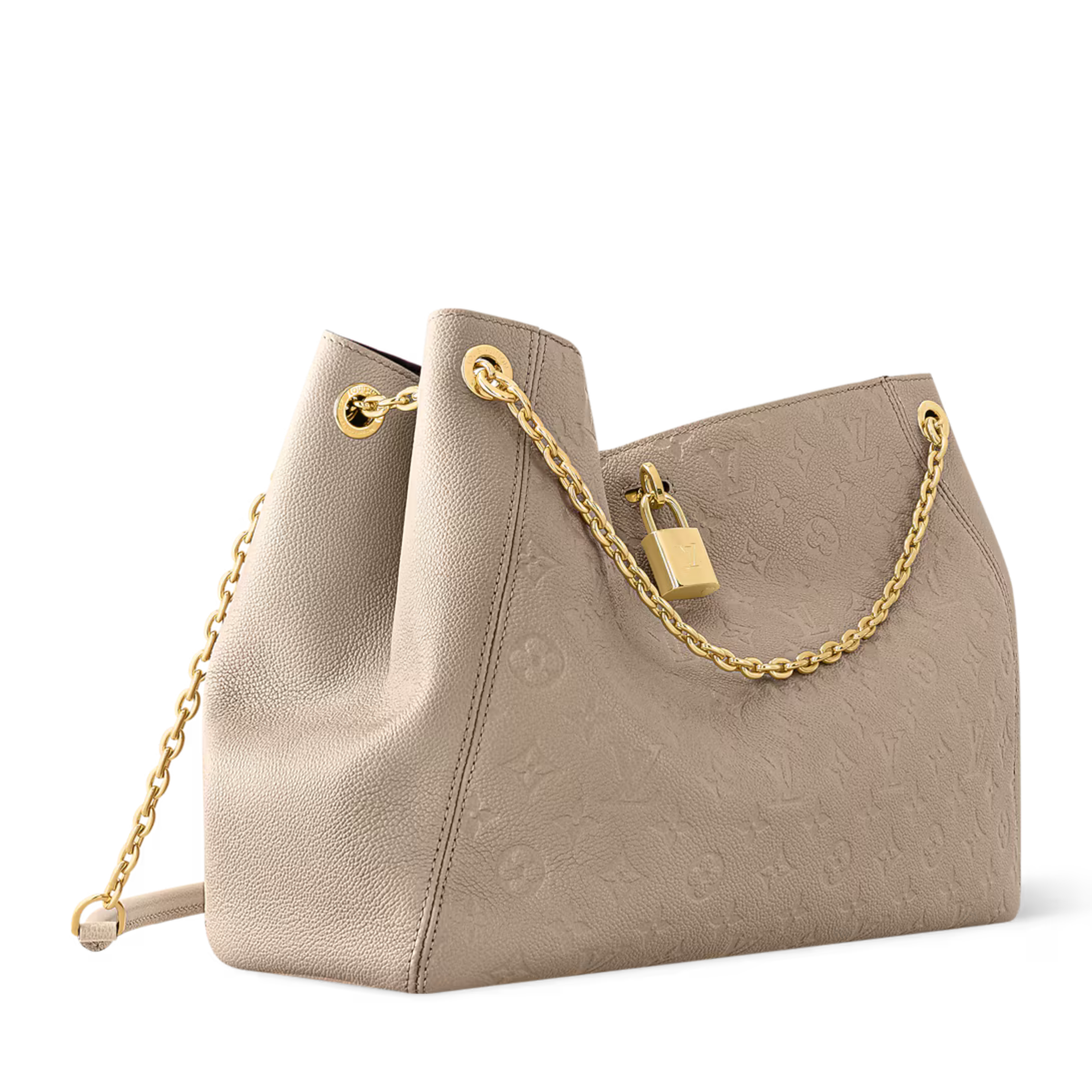 Louis Vuitton Anytime MM Bag