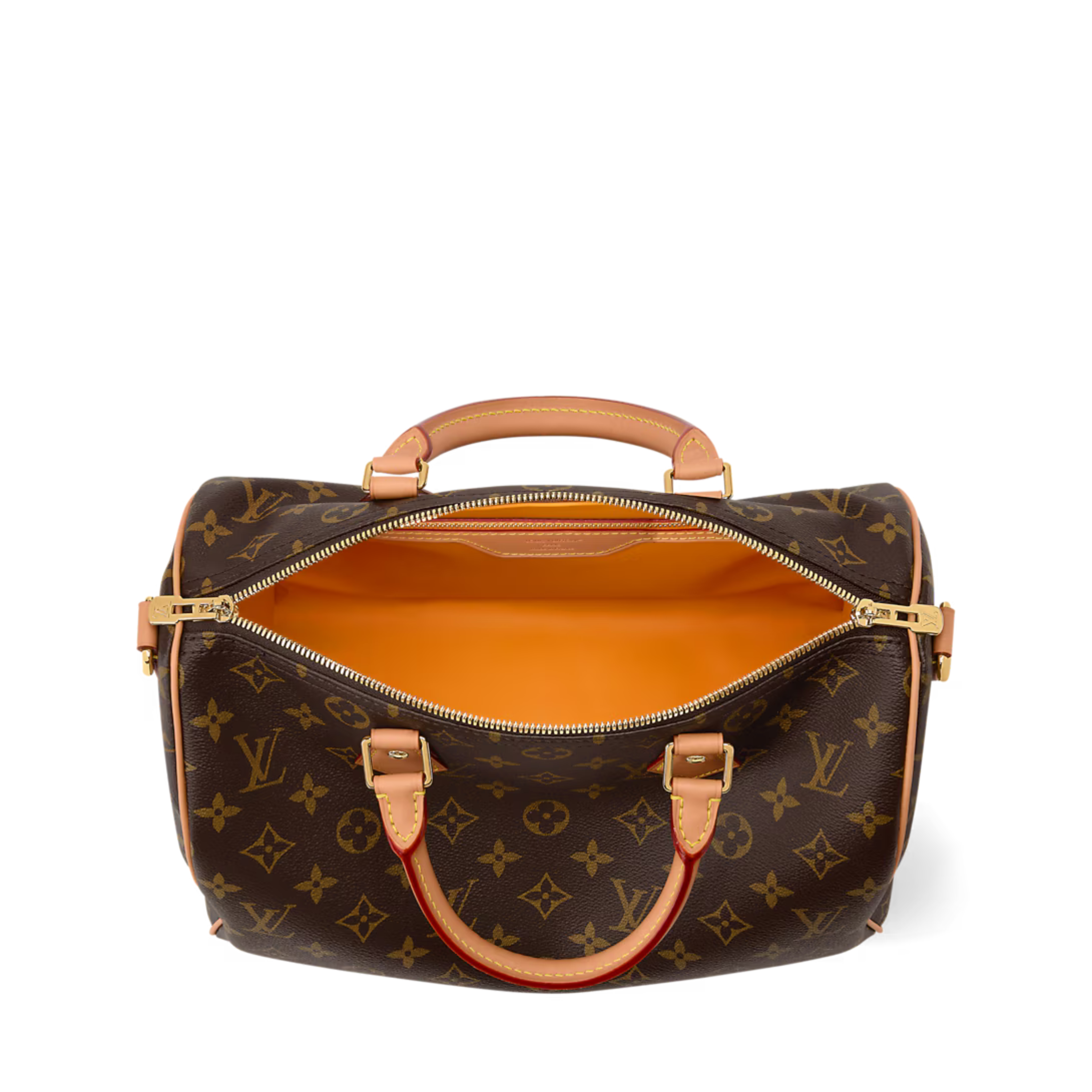 Louis Vuitton Speedy Soft 30 Bag