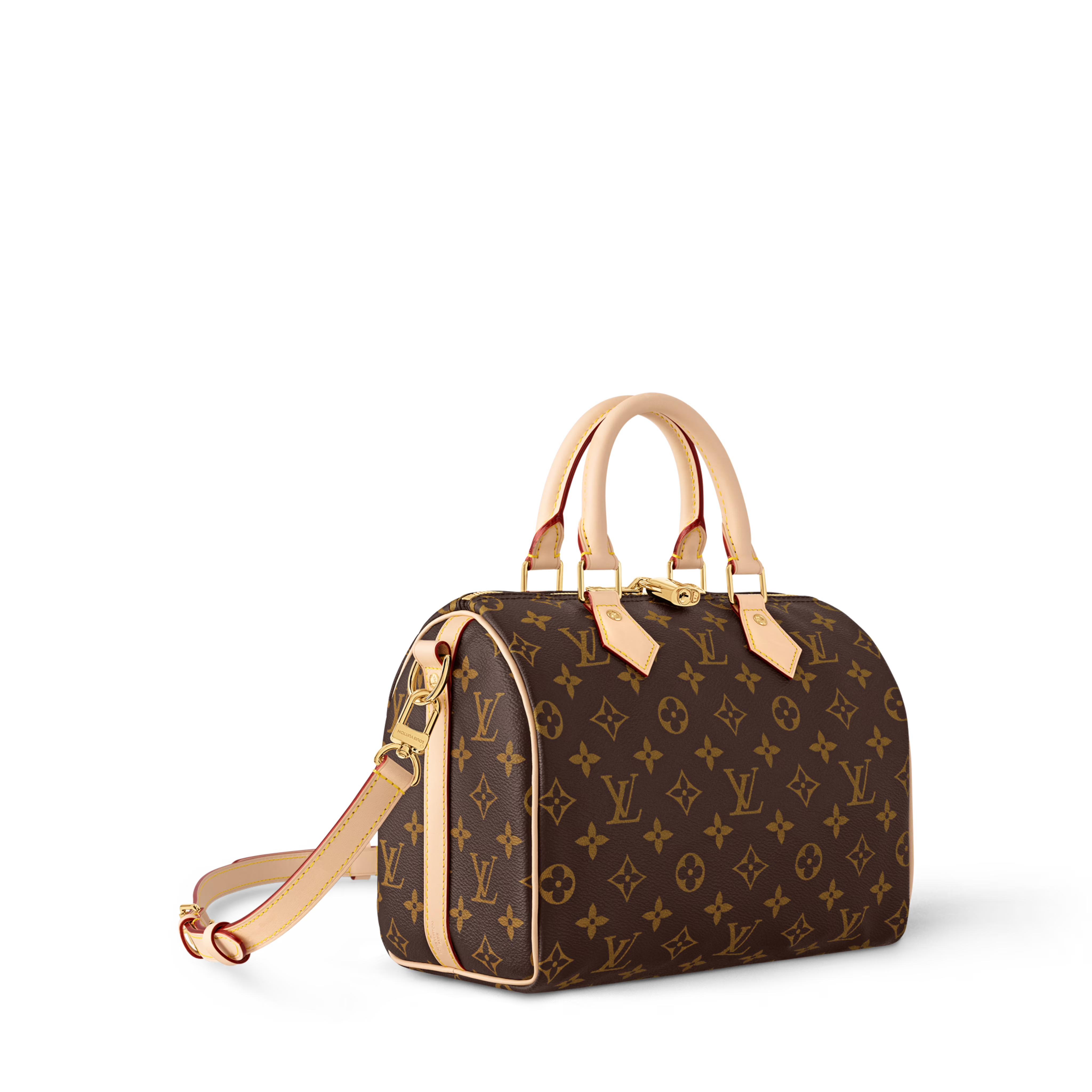 Louis Vuitton Speedy Bandoulière 25 Bag
