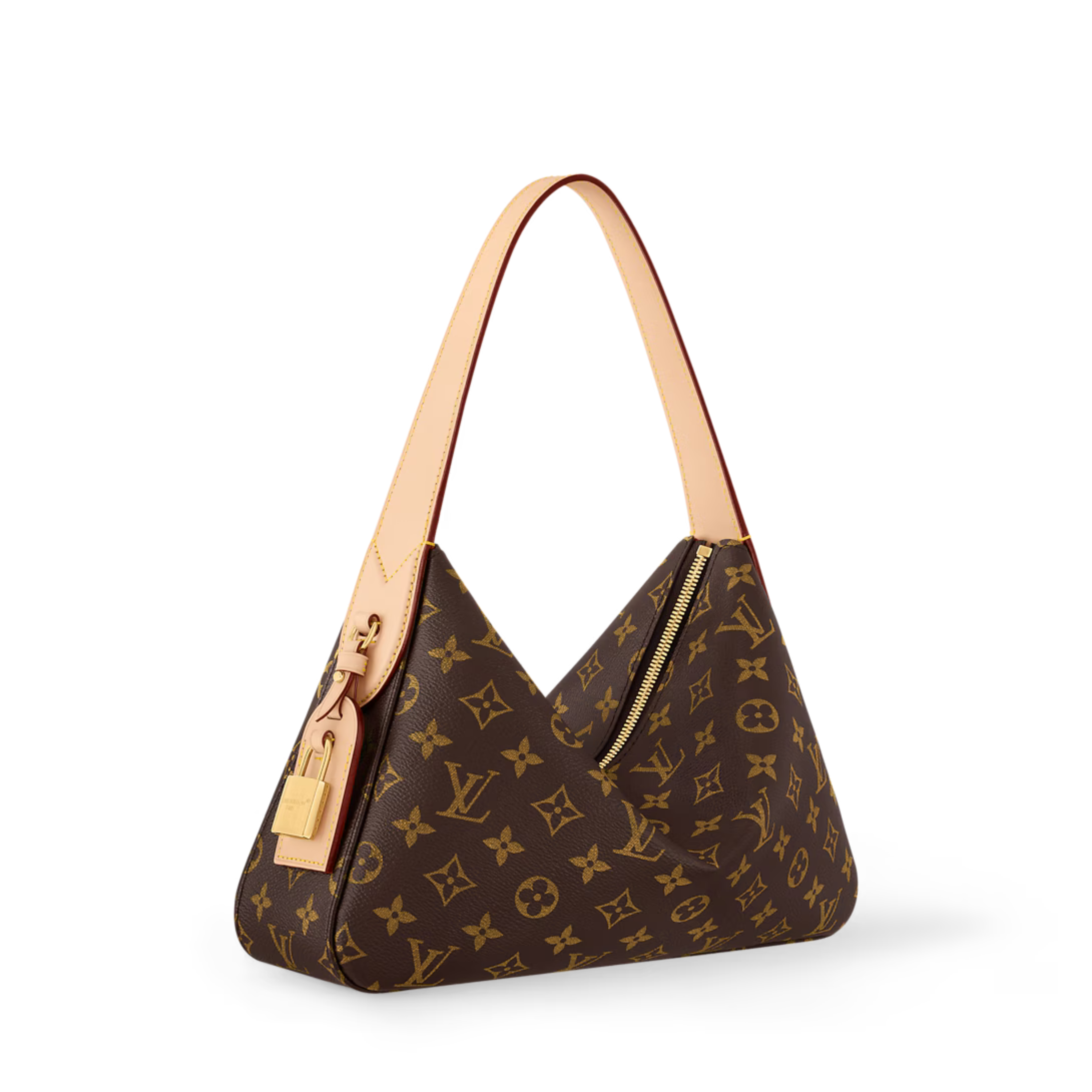 Louis Vuitton Slouchy PM Bag