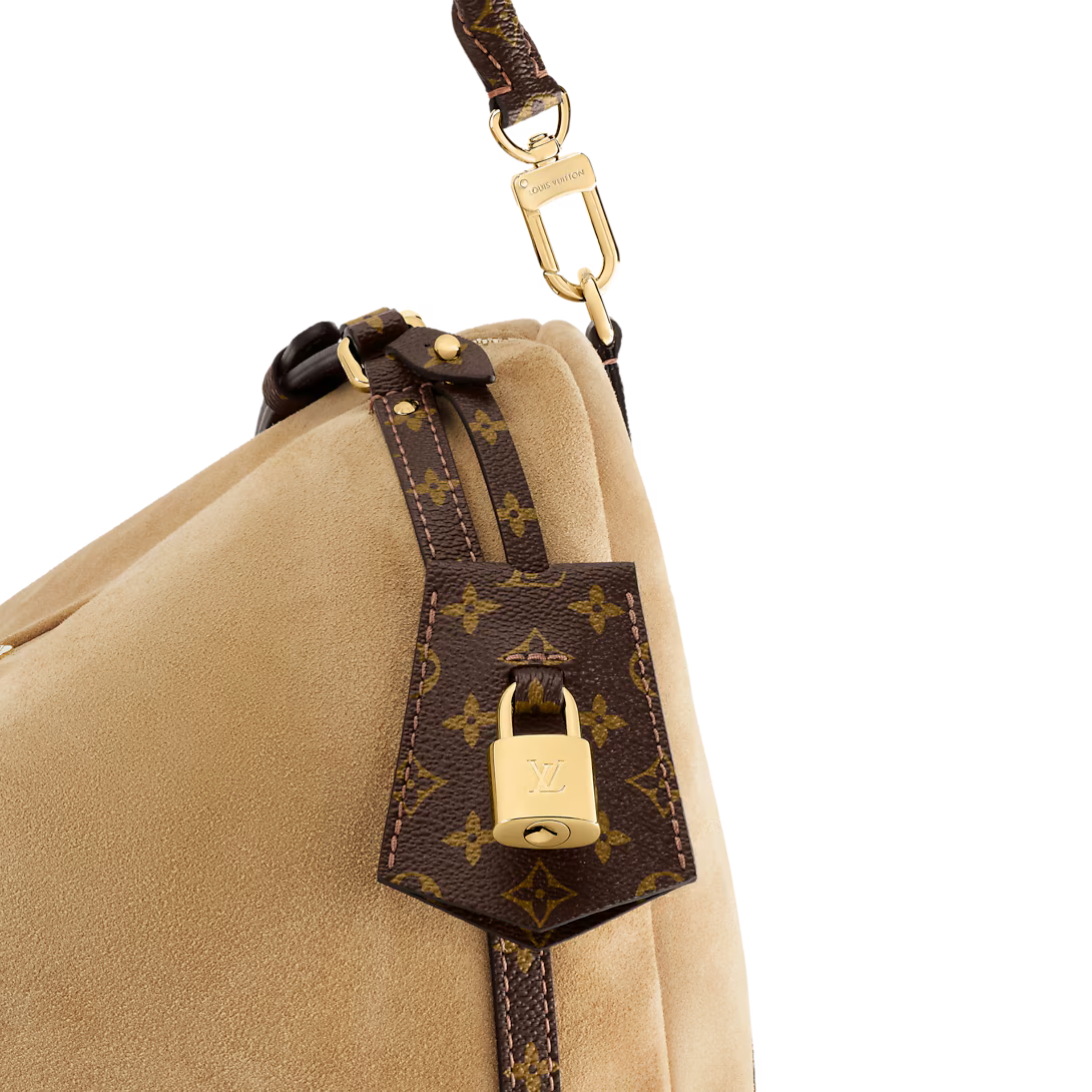 Louis Vuitton Express MM Bag