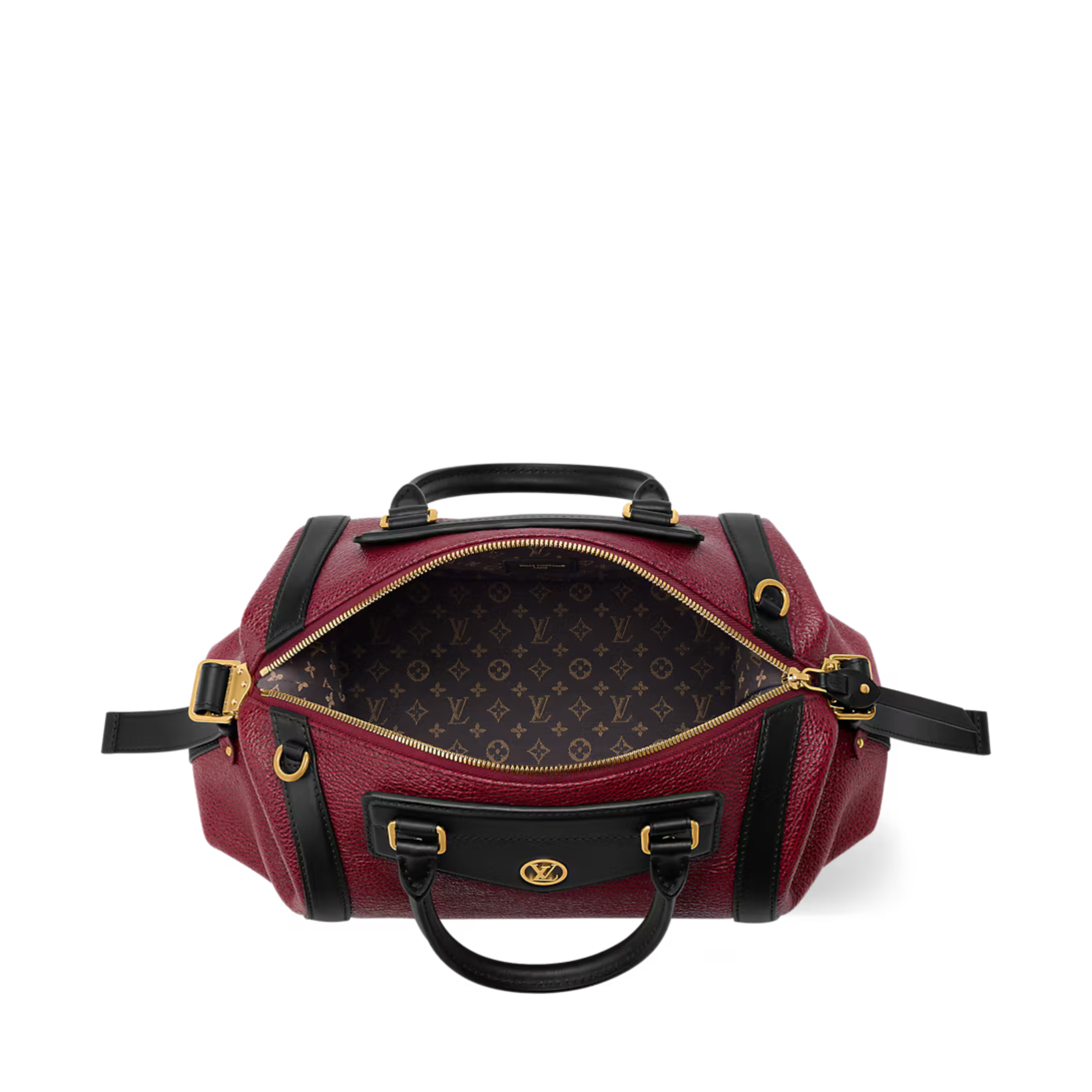 Louis Vuitton LV Biker MM Bag