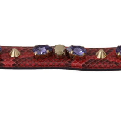 Dolce & Gabbana Red Exotic Leather Crystals Bag Shoulder Strap