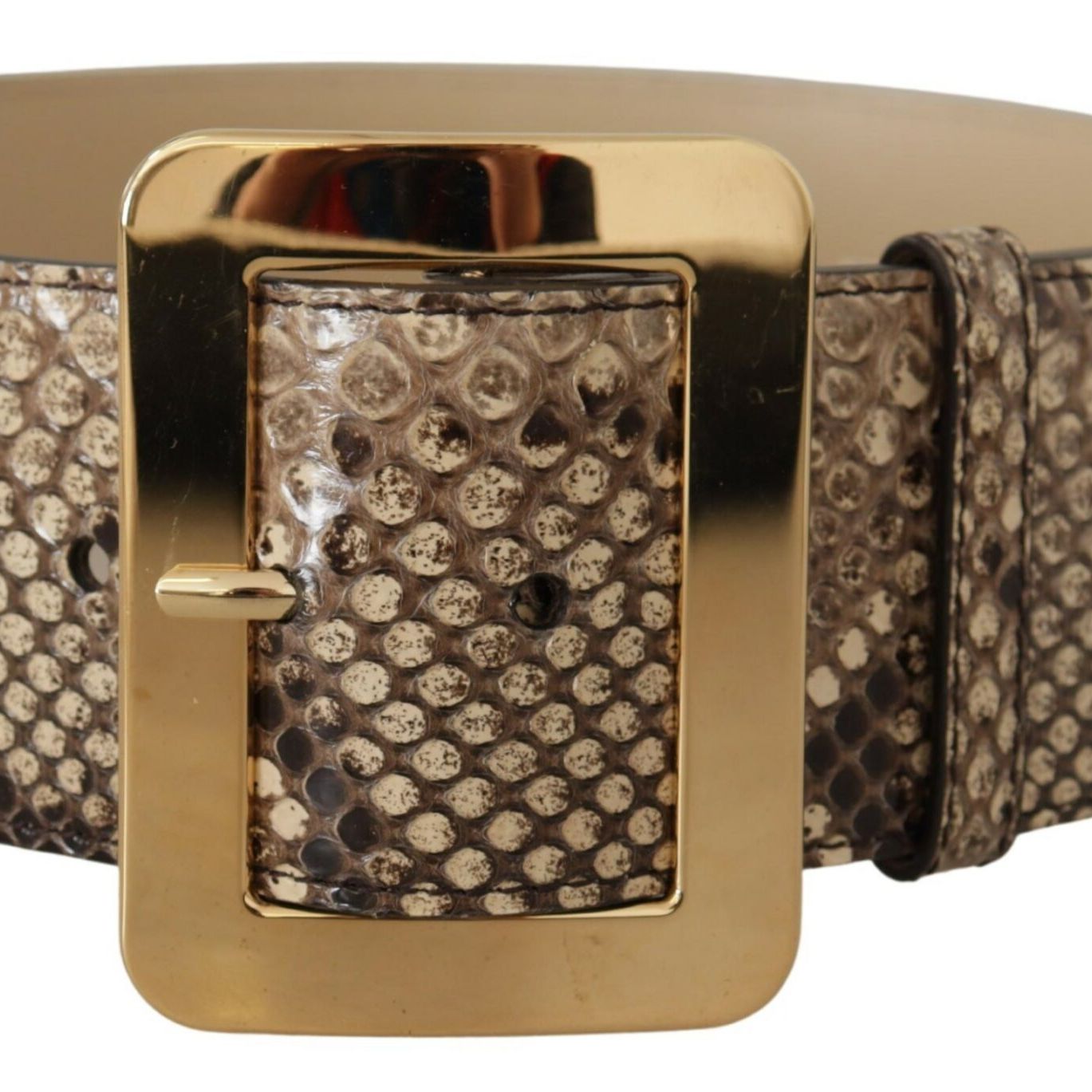 Dolce & Gabbana Brown Exotic Wide Waist Leather Gold Metal Buckle Belt