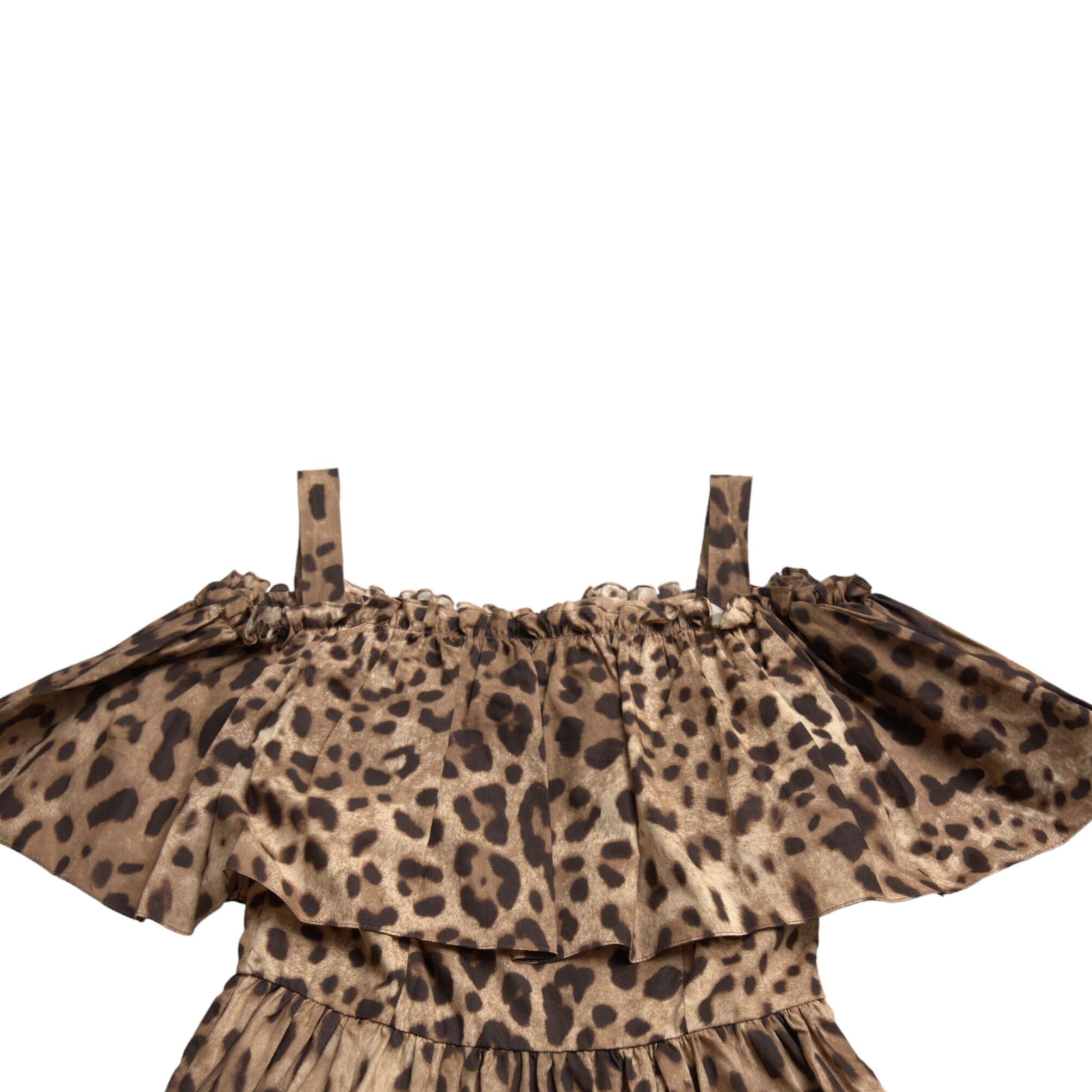 Dolce & Gabbana Brown Leopard Print Sleeveless A-line Dress