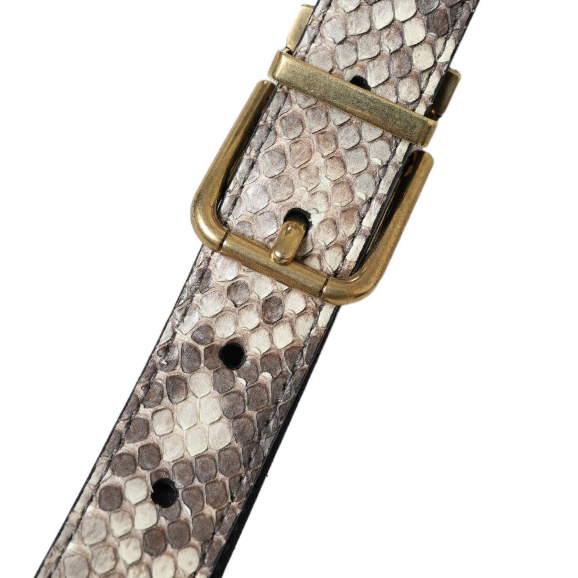 Dolce & Gabbana Brown Python Leather Gold Metal Buckle Belt