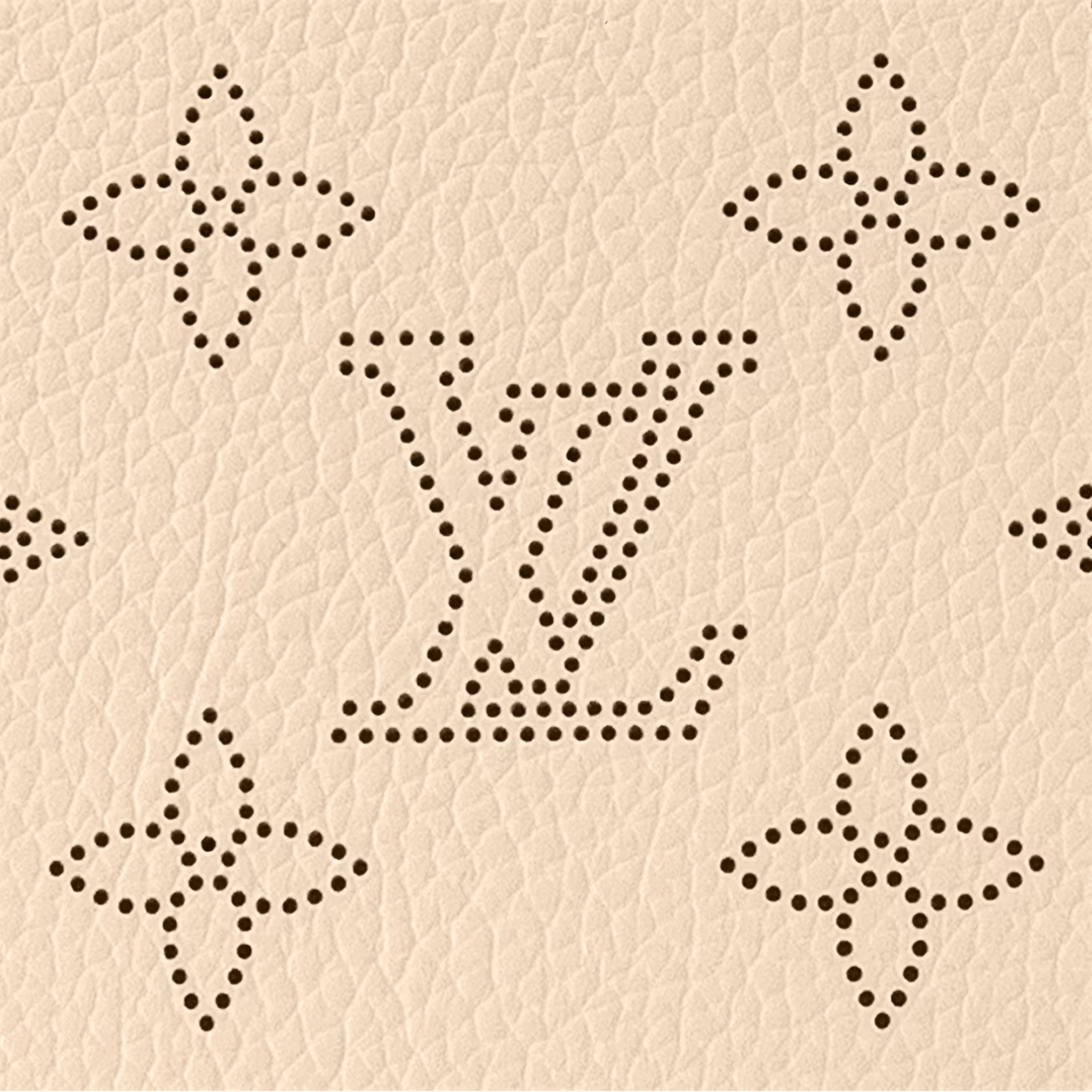 Louis Vuitton Carmel Bag