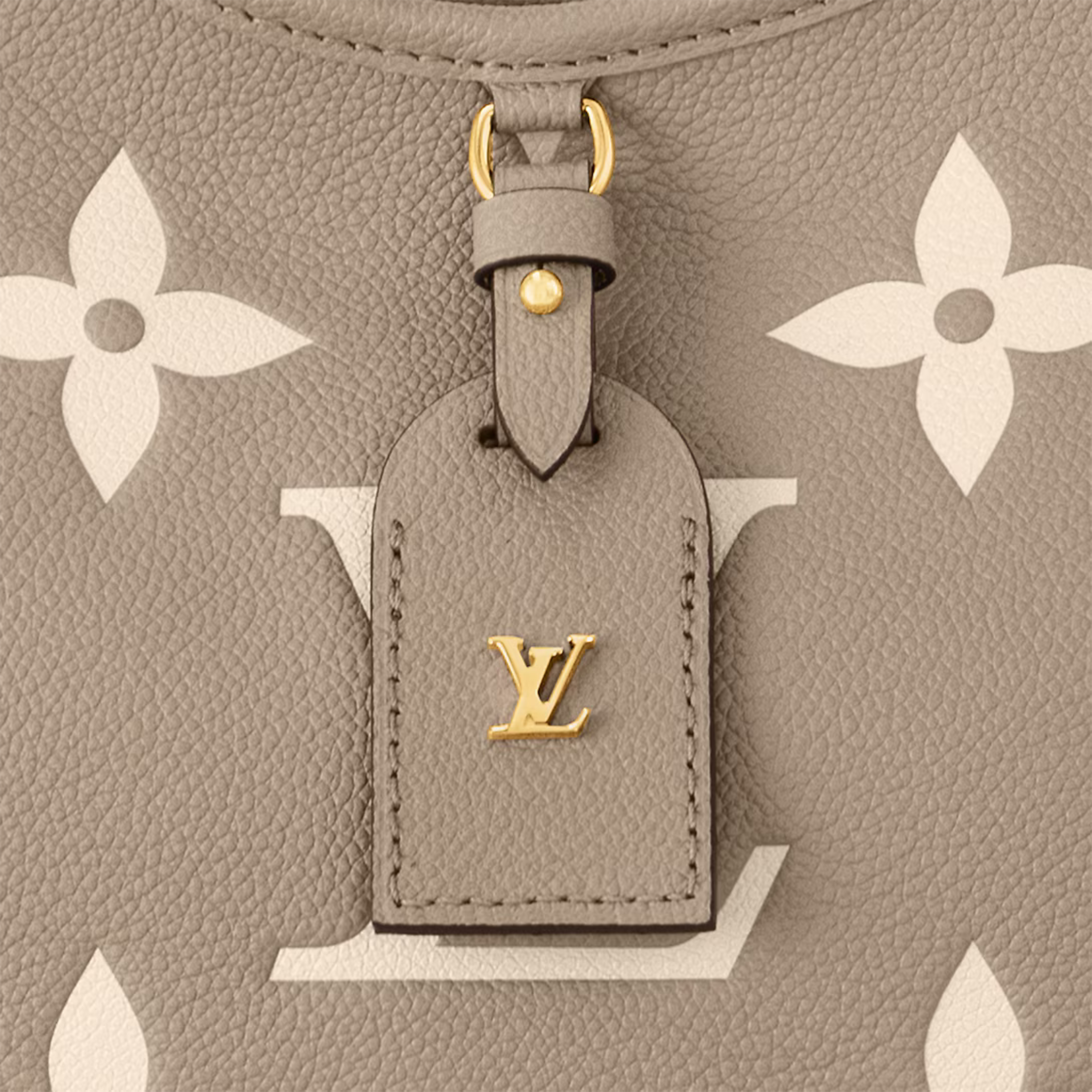 Louis Vuitton CarryAll PM Bag