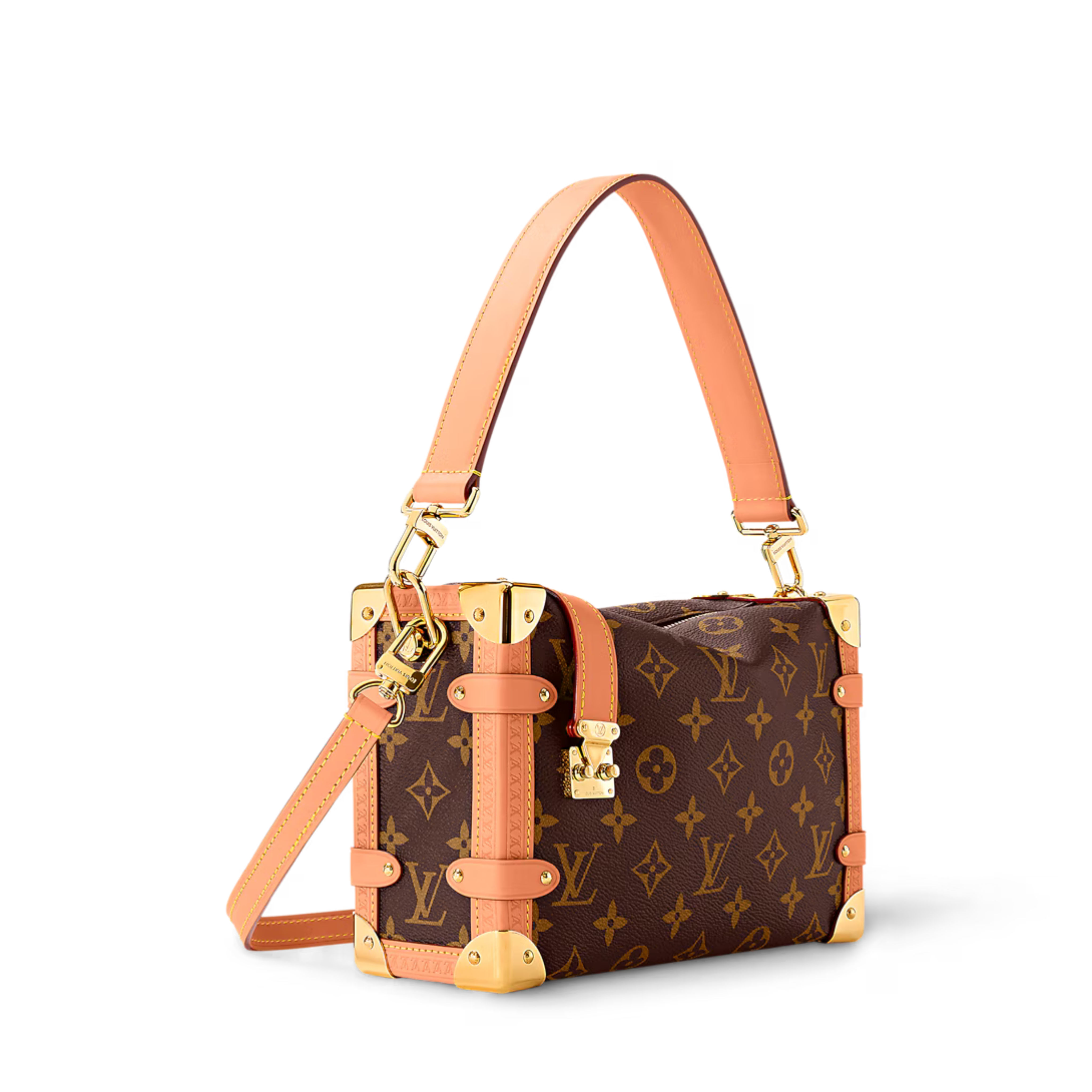 Louis Vuitton Side Trunk MM Bag