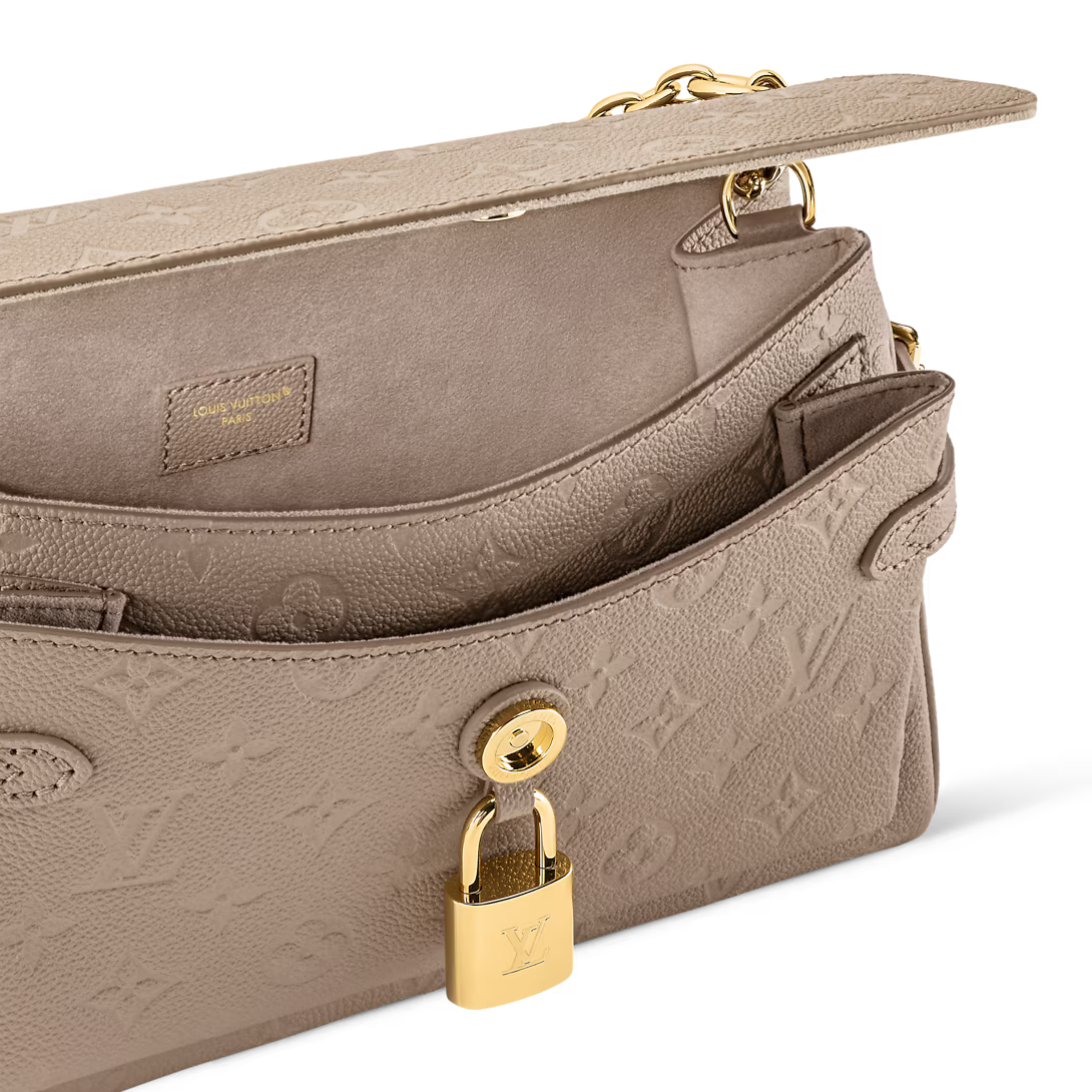 Louis Vuitton Anytime Flap Bag