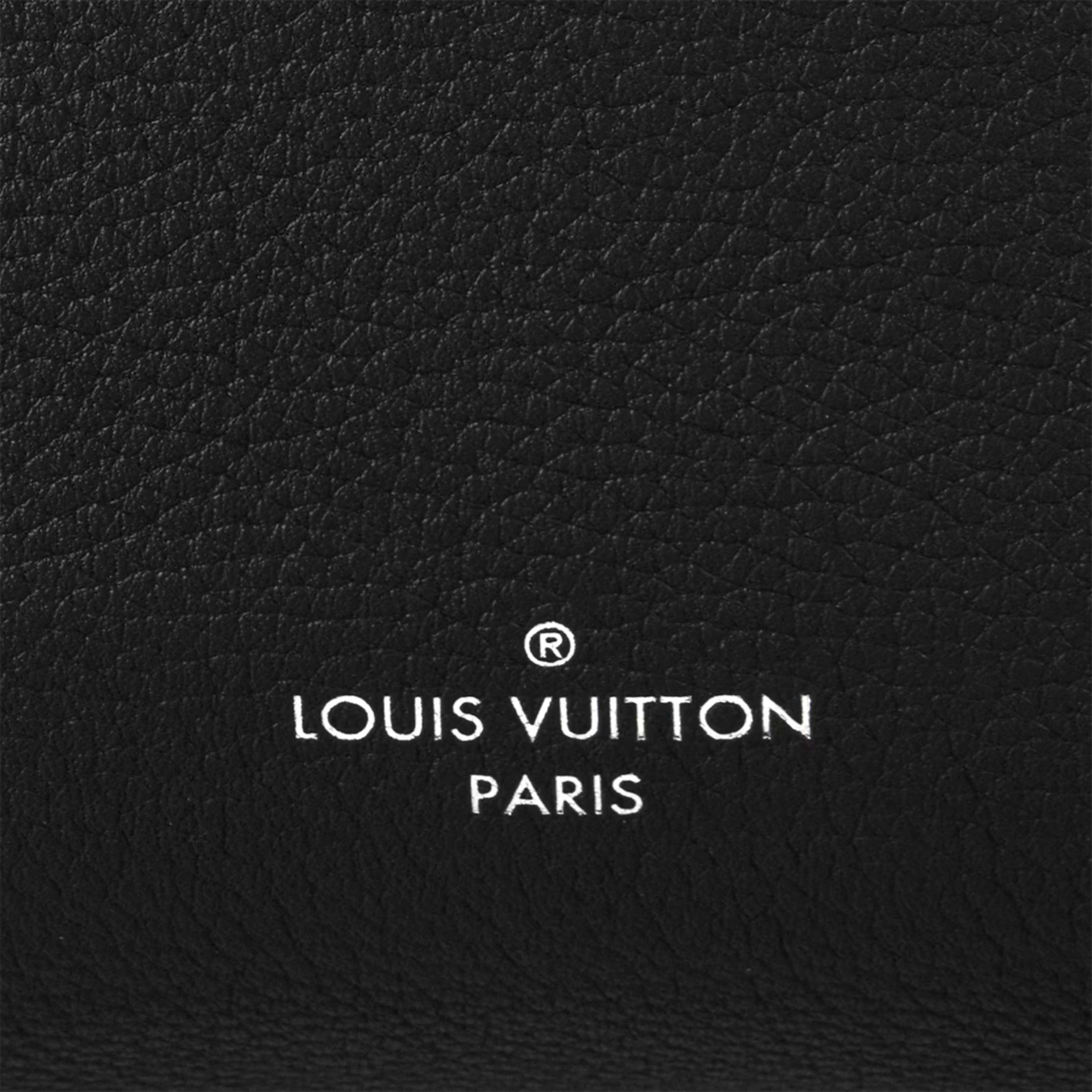 Louis Vuitton Side Trunk MM Bag