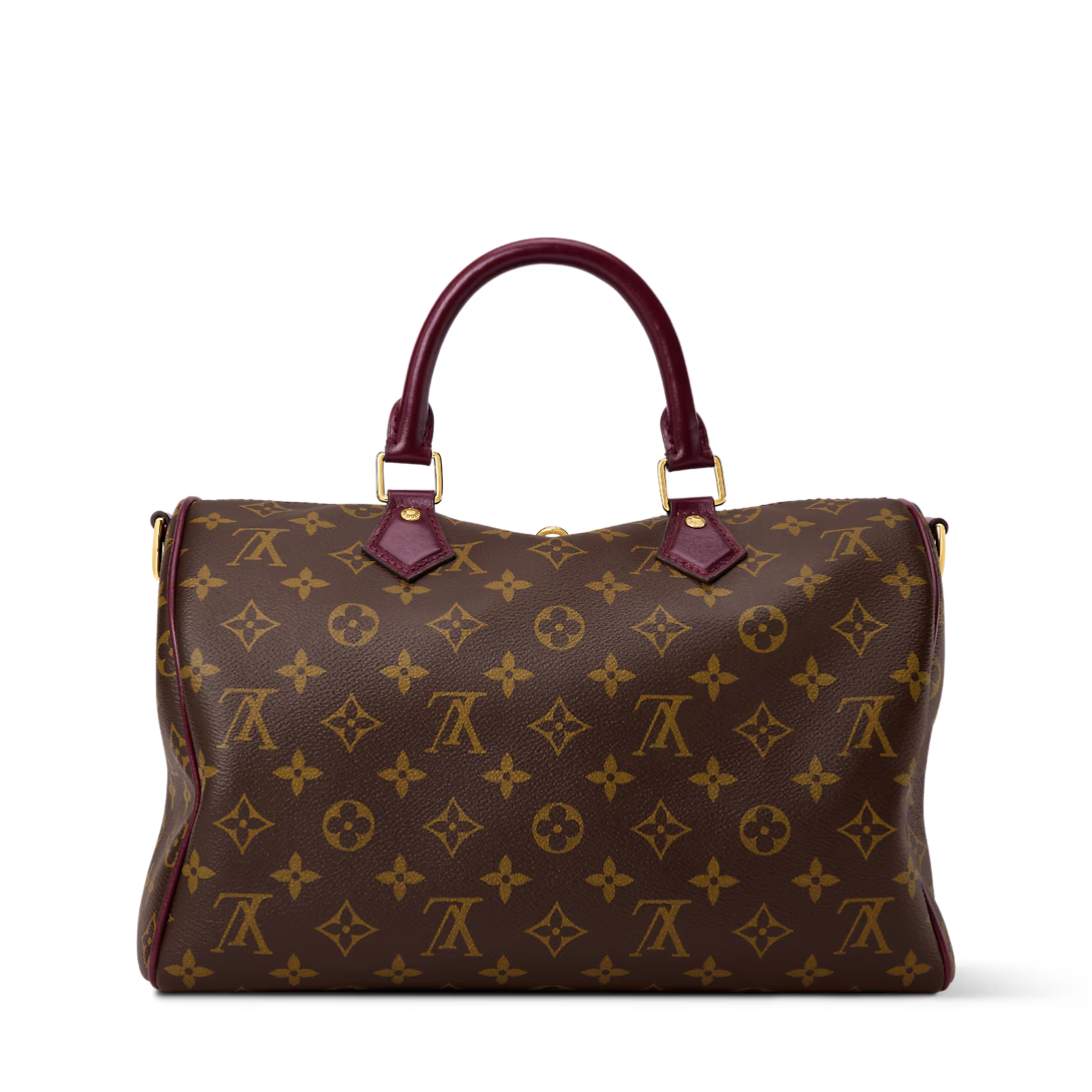 Louis Vuitton Speedy Soft 30 Celebration Bag