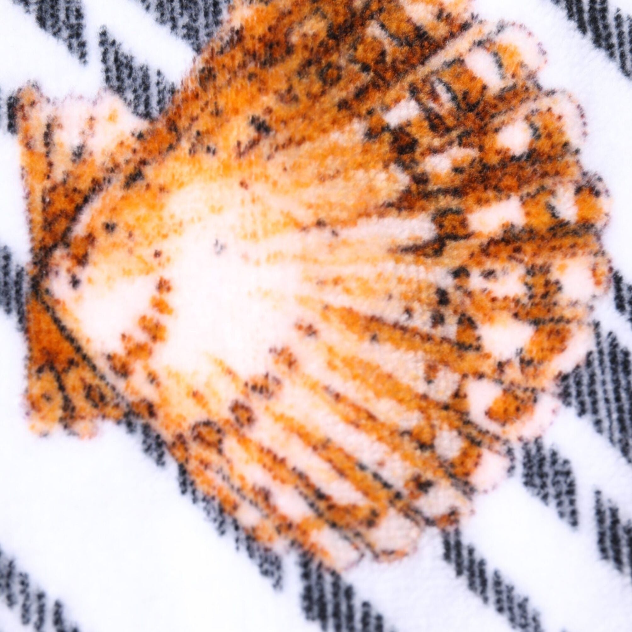 Dolce & Gabbana Multicolor Stripes Seashells Beach Towel
