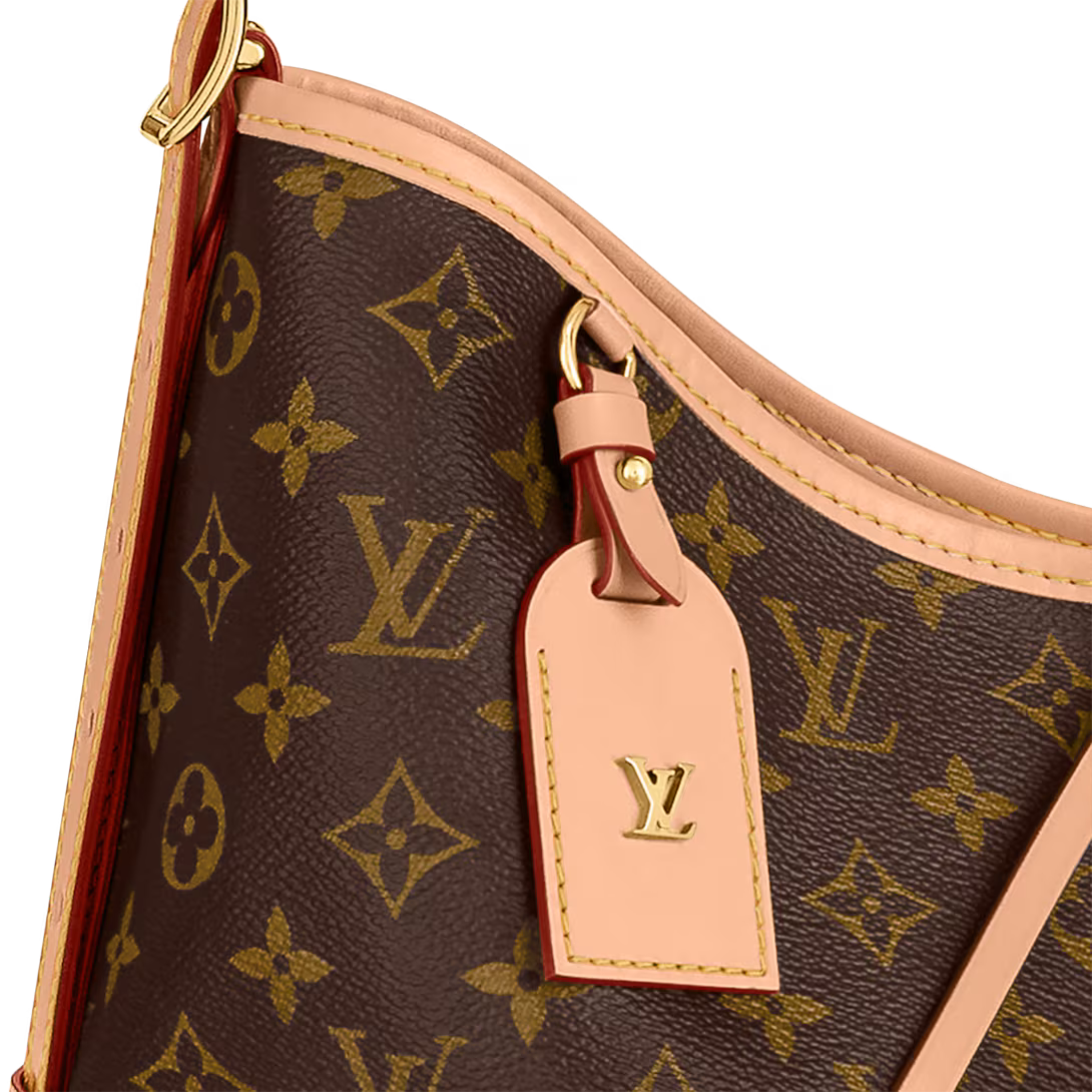 Louis Vuitton CarryAll MM Bag