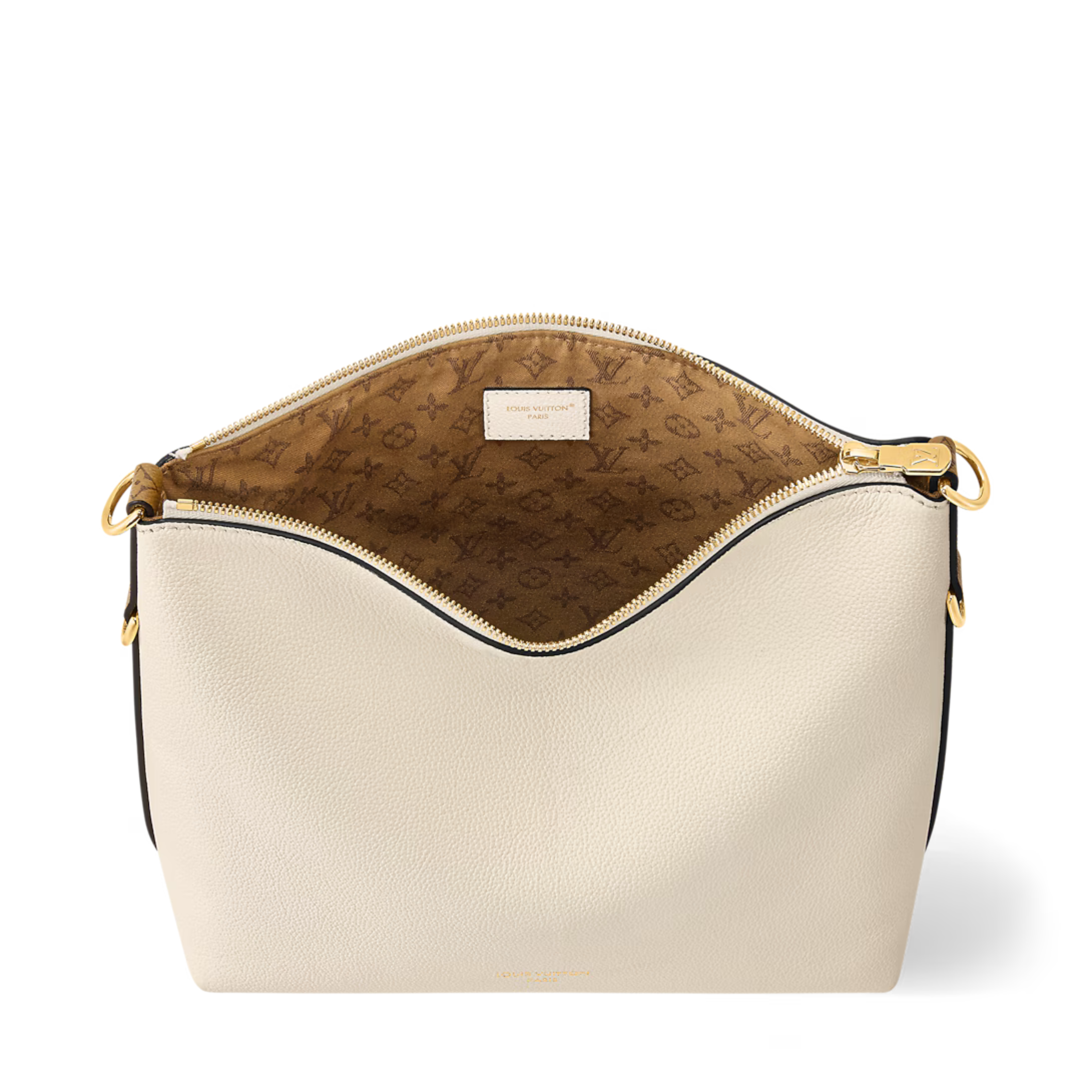 Louis Vuitton Multipass Bag