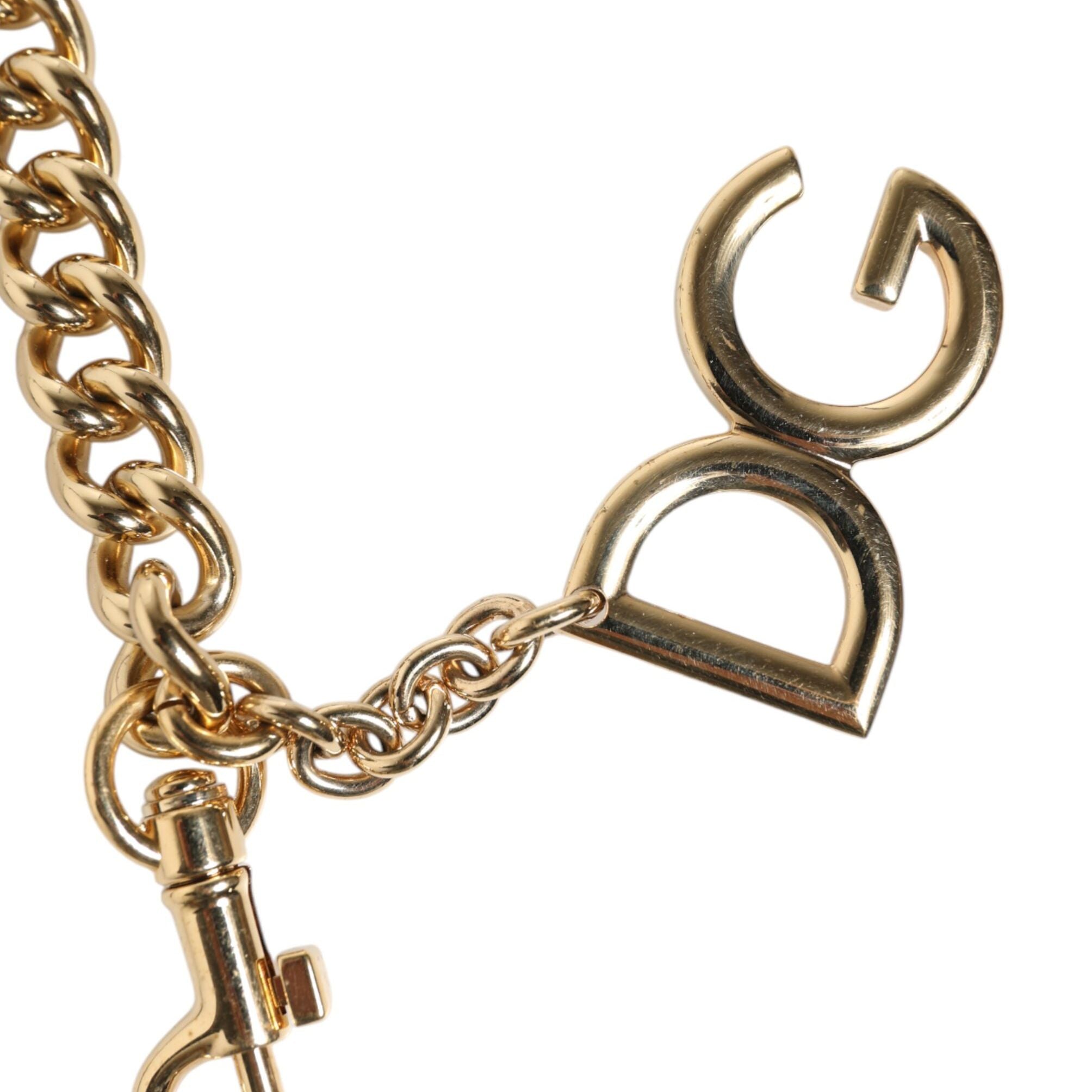 Dolce & Gabbana Brown Leopard Gold Brass Chain Accessory Shoulder Strap