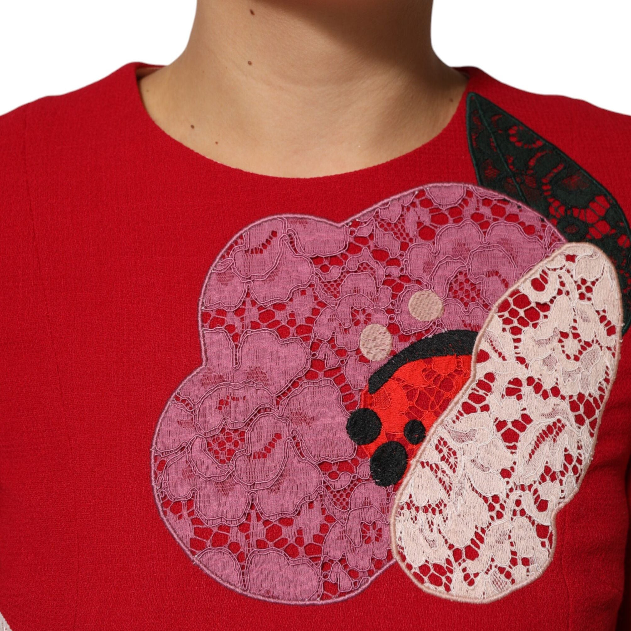 Dolce & Gabbana Red Lace Floral Applique A-line Mini Dress