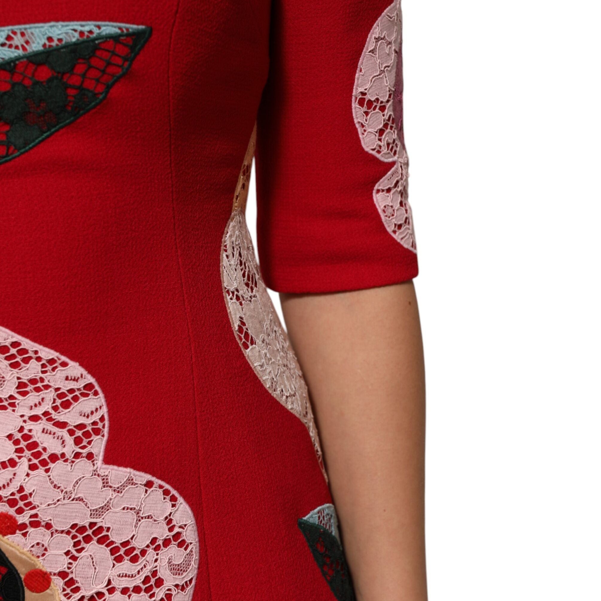 Dolce & Gabbana Red Lace Floral Applique A-line Mini Dress