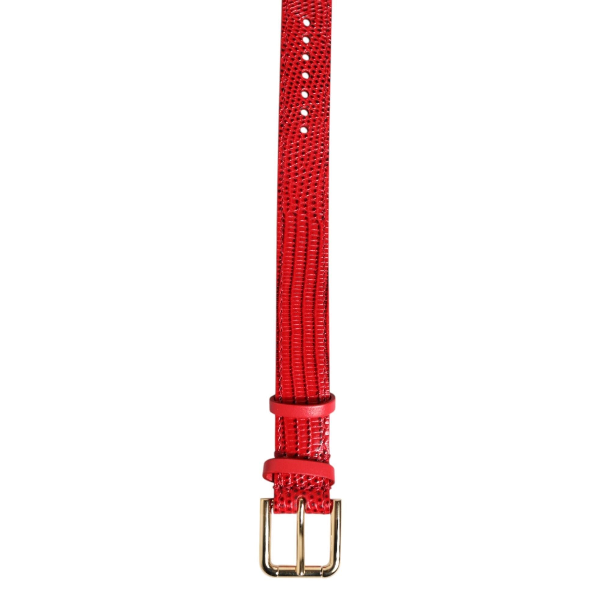 Dolce & Gabbana Red Exotic Leather Gold Tone Metal Buckle Women Armband