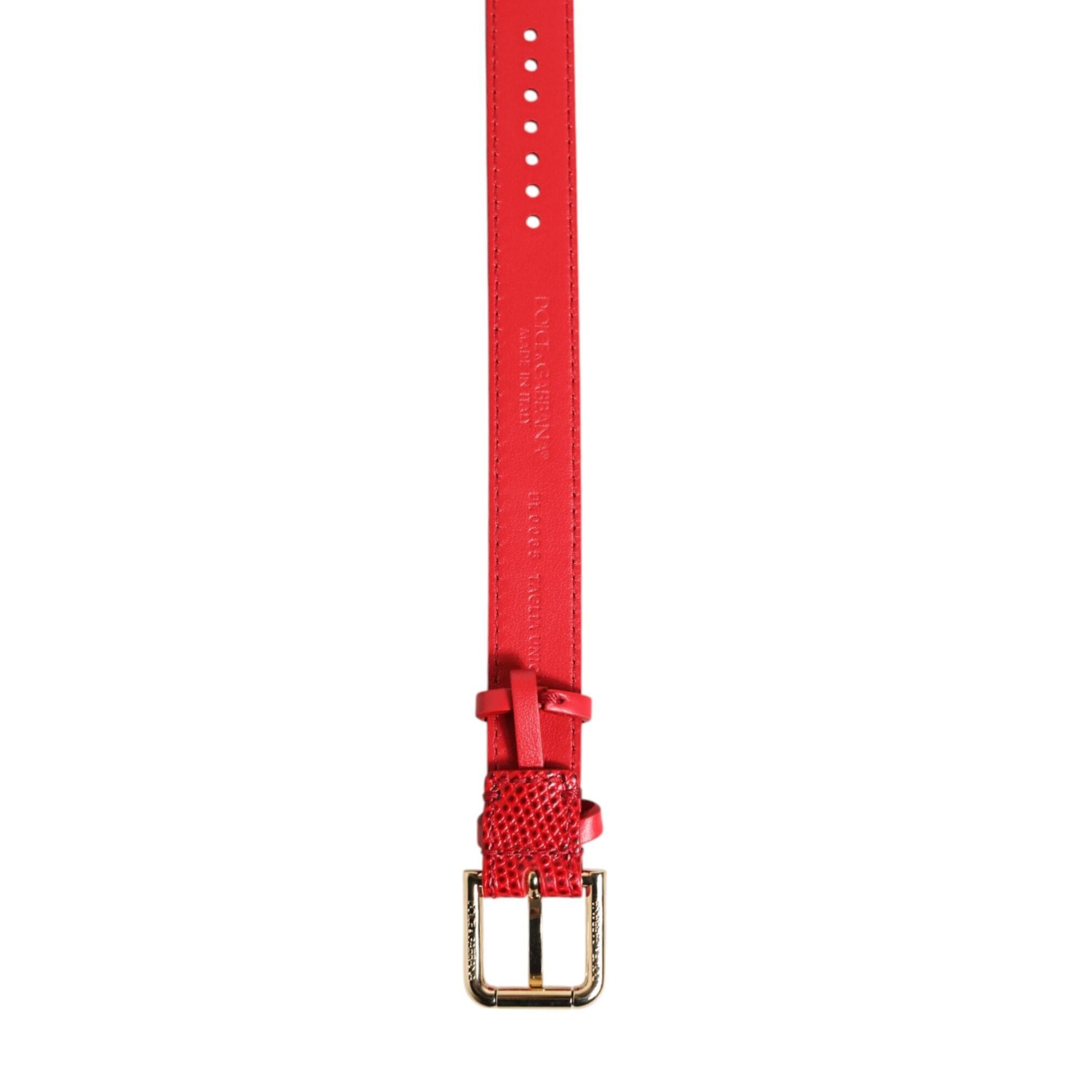 Dolce & Gabbana Red Exotic Leather Gold Tone Metal Buckle Women Armband