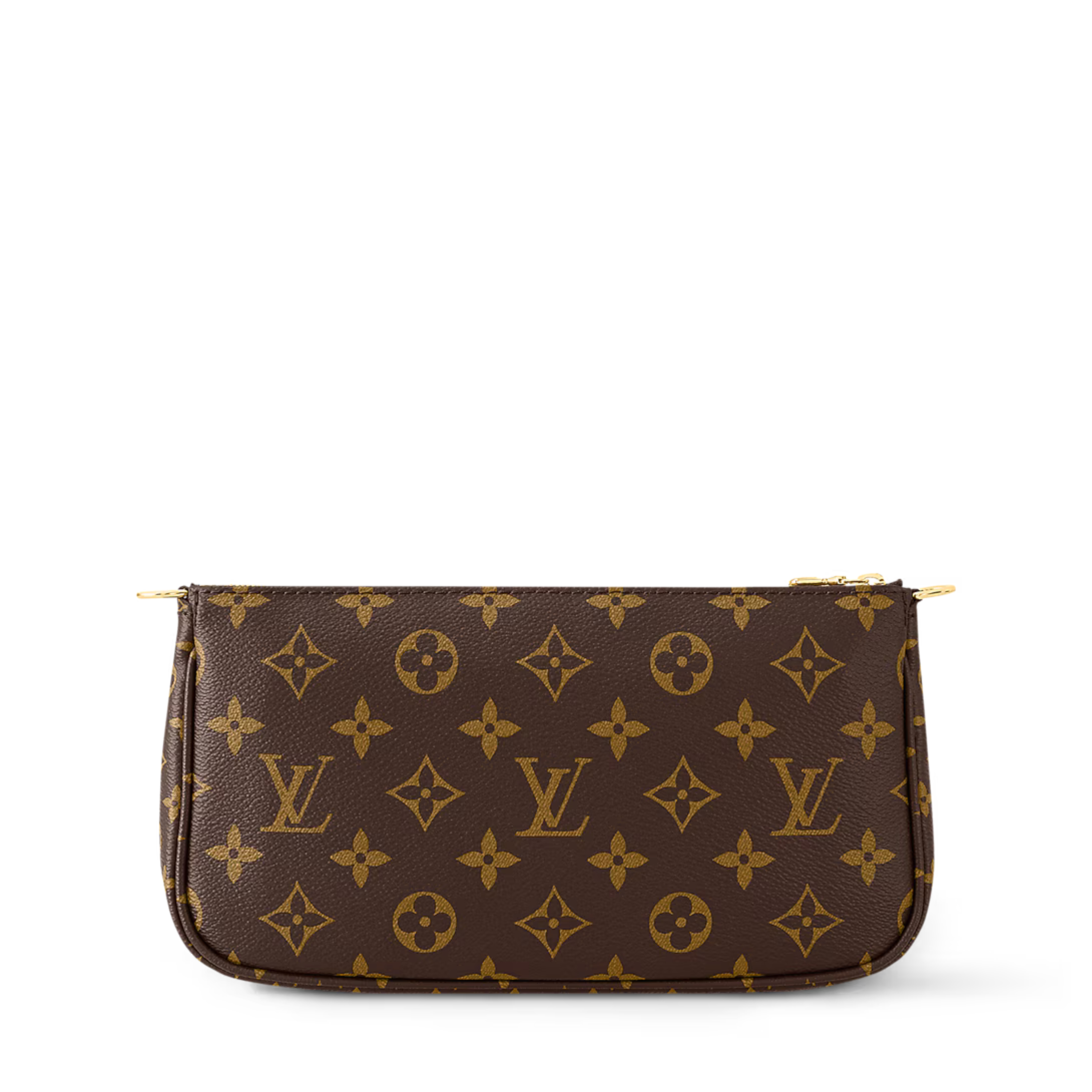 Louis Vuitton Multi Pochette Accessoires Bag