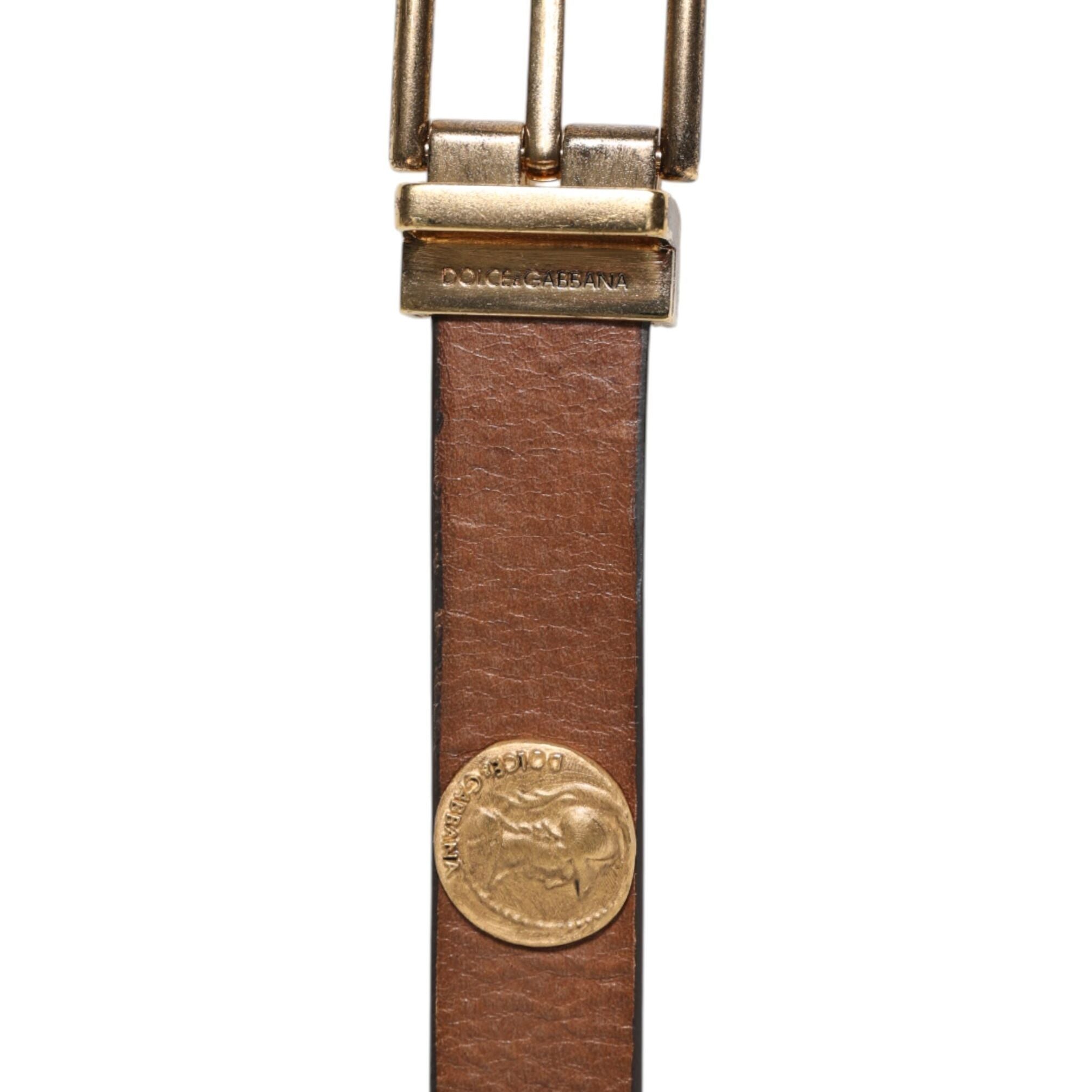 Dolce & Gabbana Brown Leather Gold Silver Coin Buckle Belt