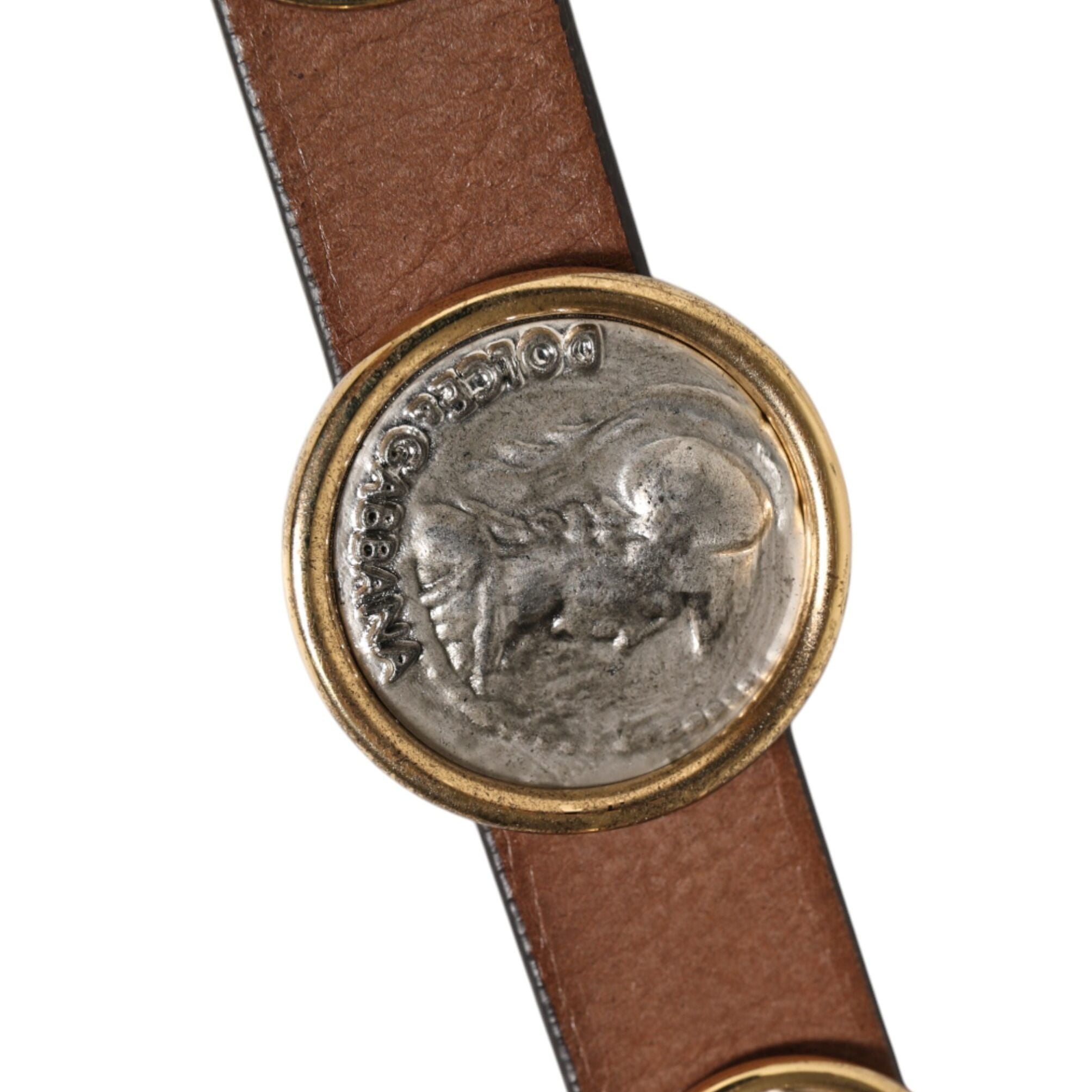 Dolce & Gabbana Brown Leather Gold Silver Coin Buckle Belt