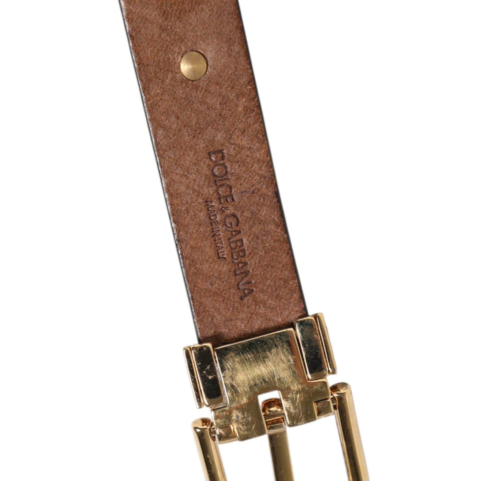 Dolce & Gabbana Brown Leather Gold Silver Coin Buckle Belt