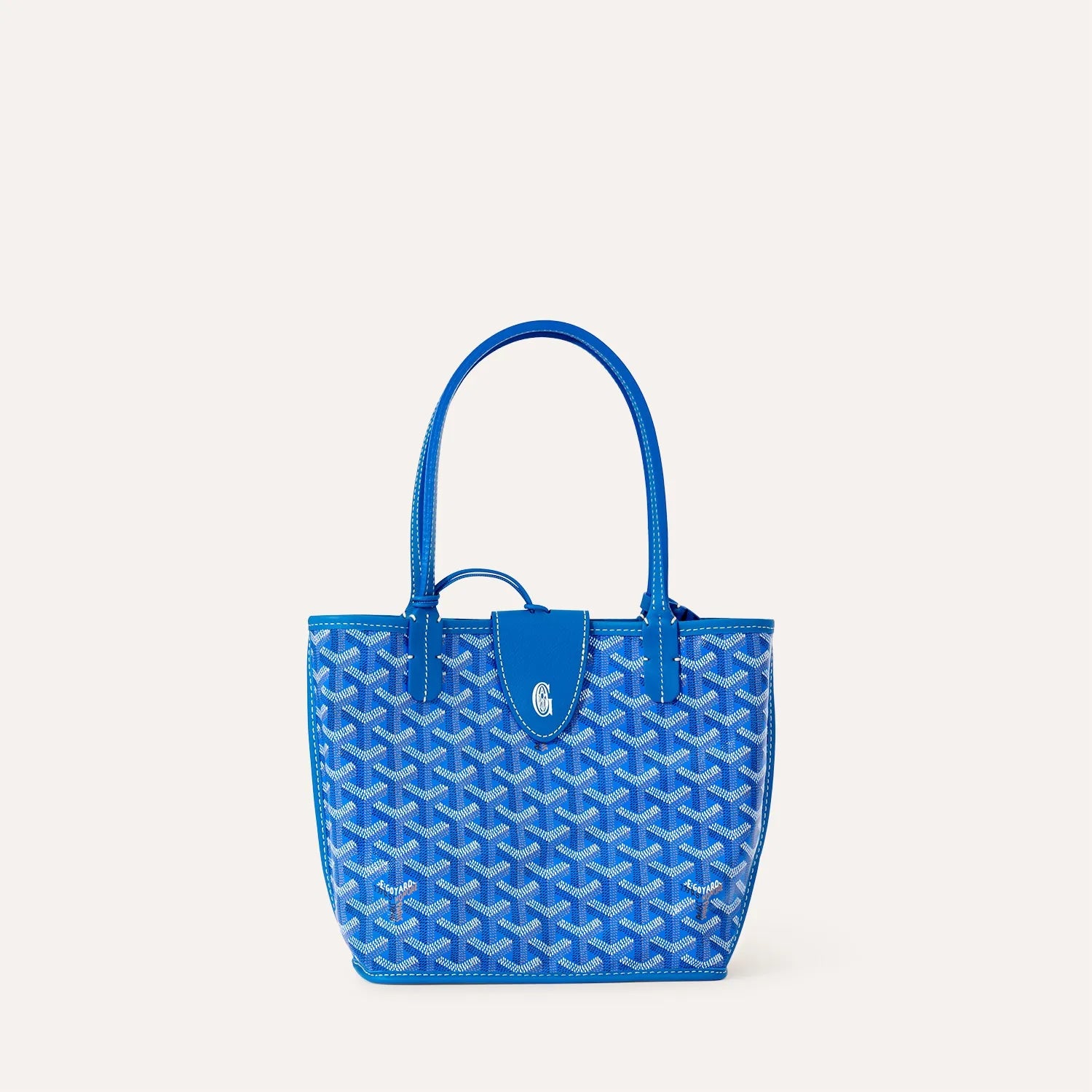 Goyard Anjou Mini Bag