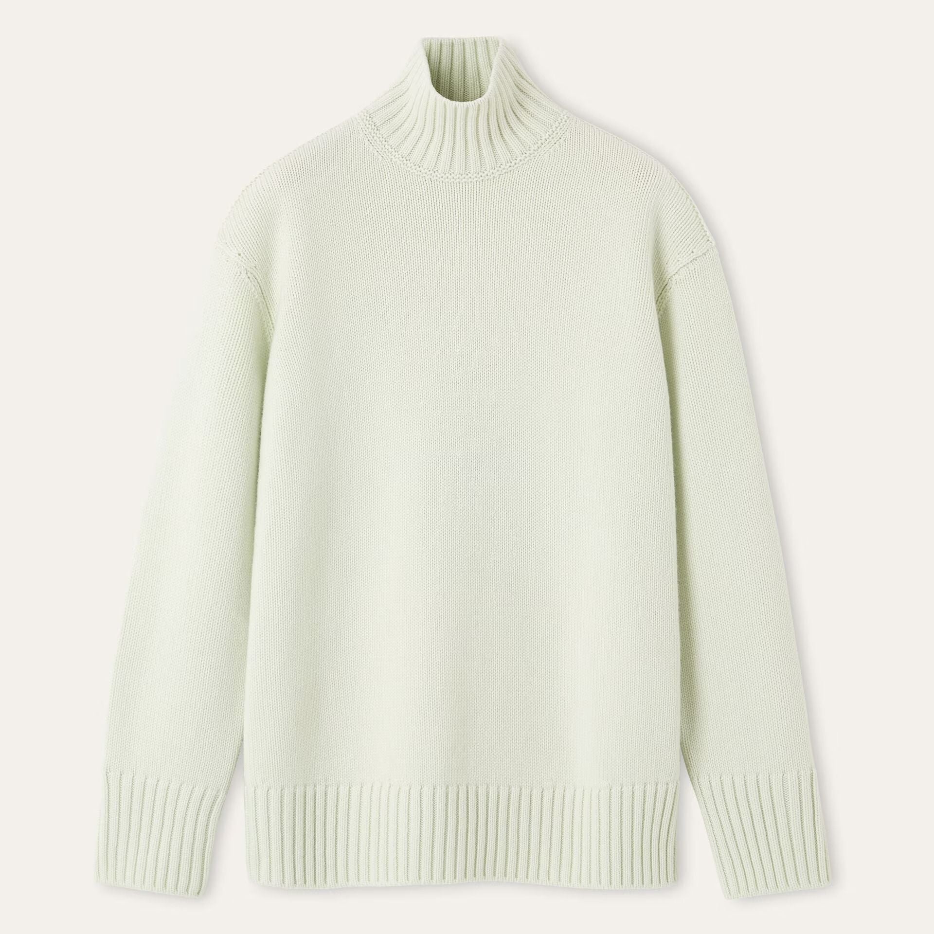 Loro Piana Parksville Turtleneck in Baby Cashmere