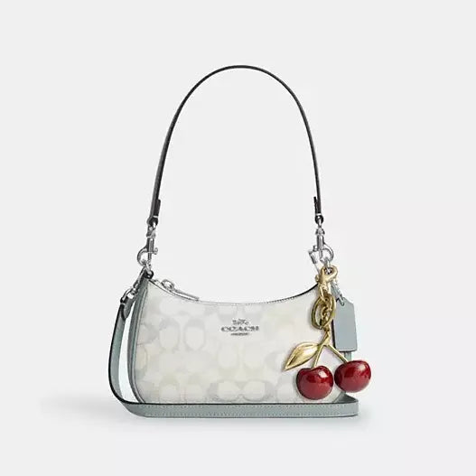 Coach Teri Mini Crossbody Bag In Signature Canvas