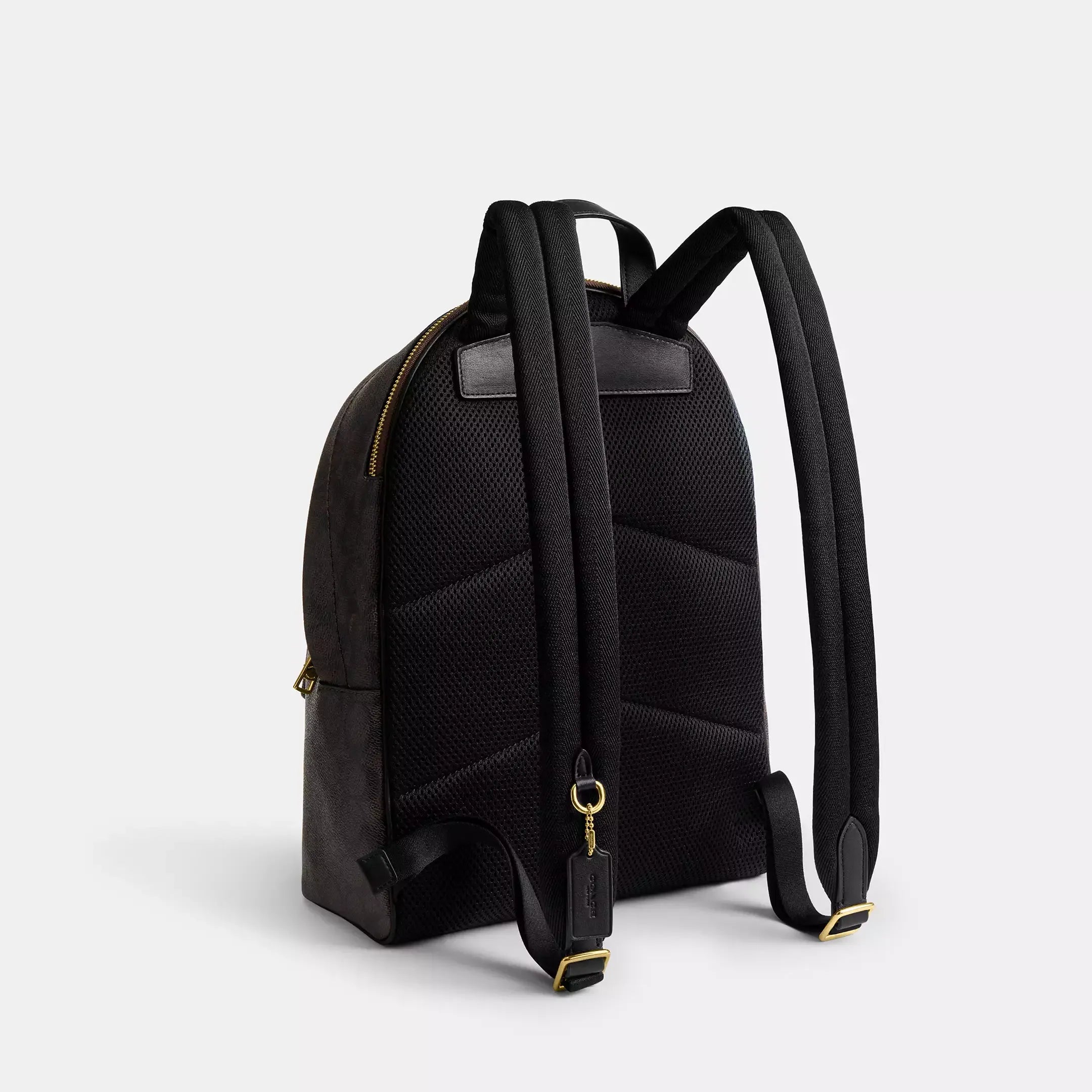 Coach Taylor Small Backpack In Signature Canvas