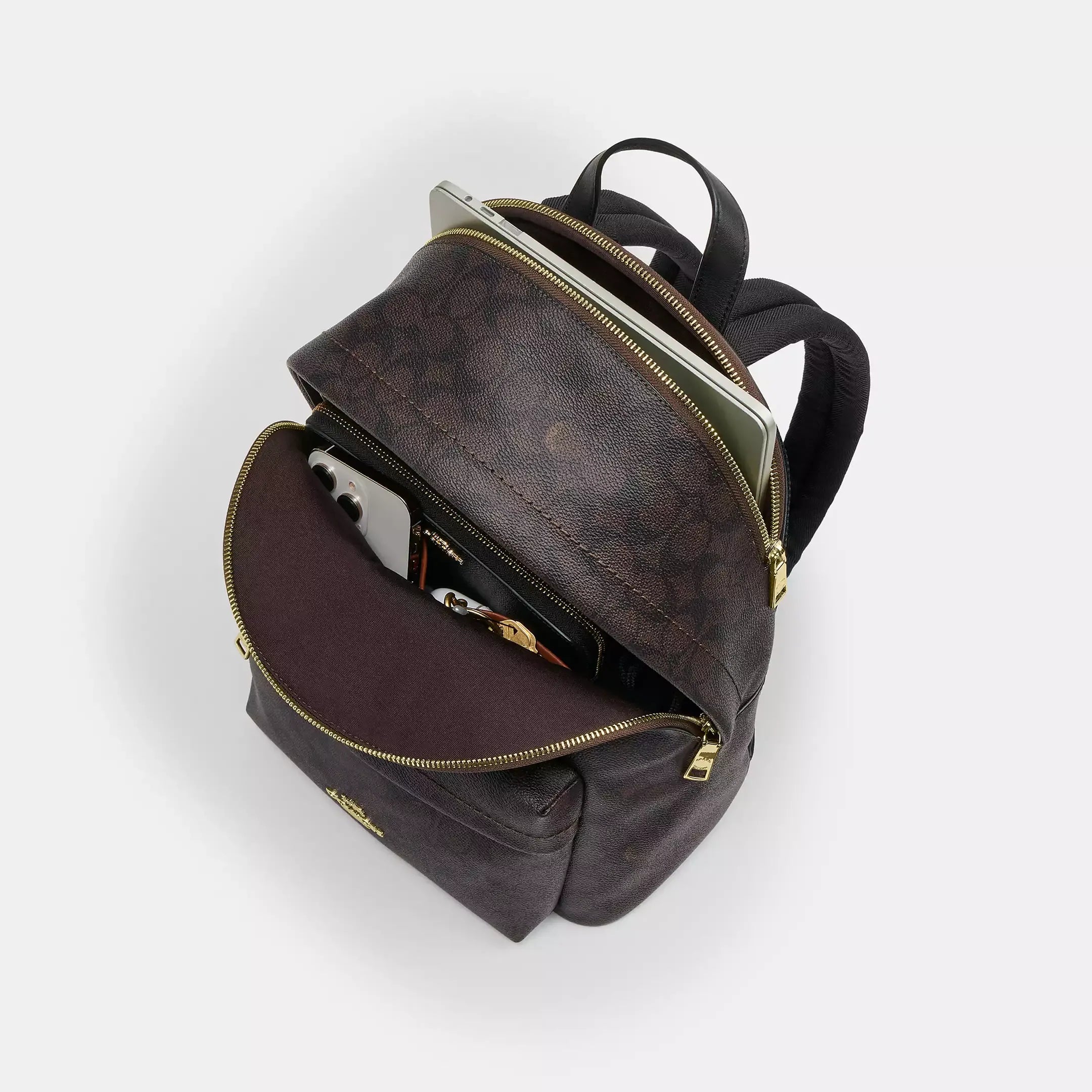 Coach Taylor Small Backpack In Signature Canvas