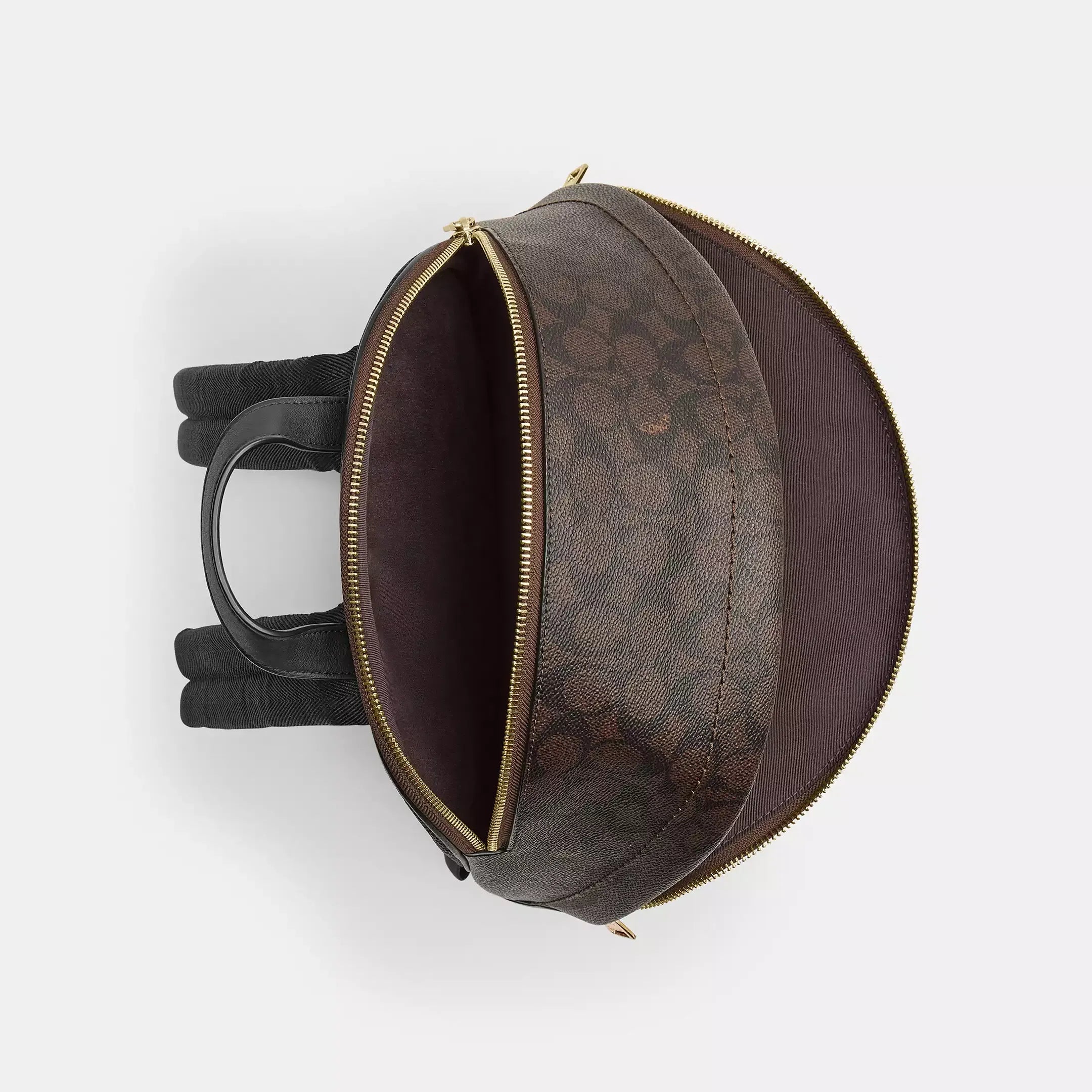 Coach Taylor Small Backpack In Signature Canvas