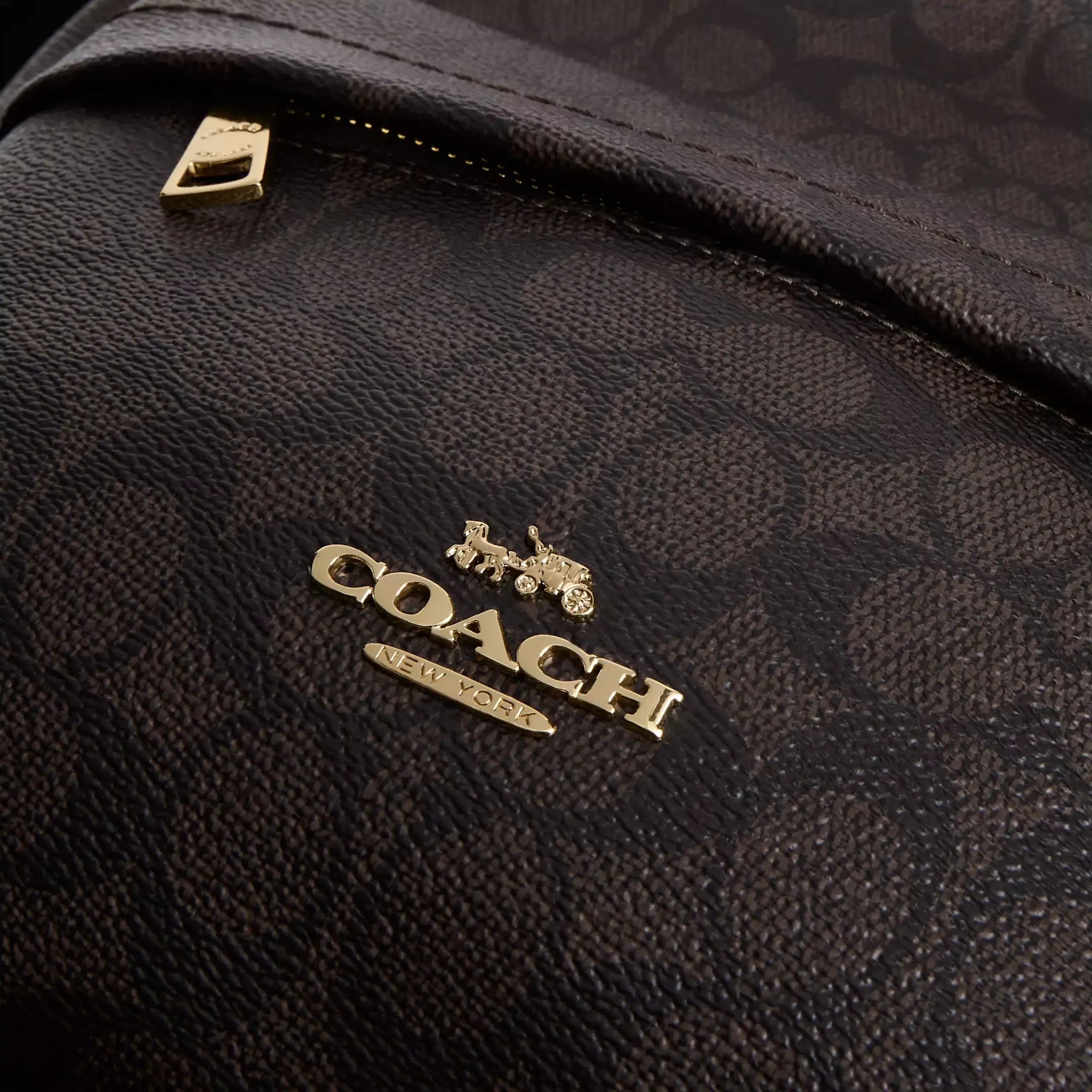 Coach Taylor Small Backpack In Signature Canvas