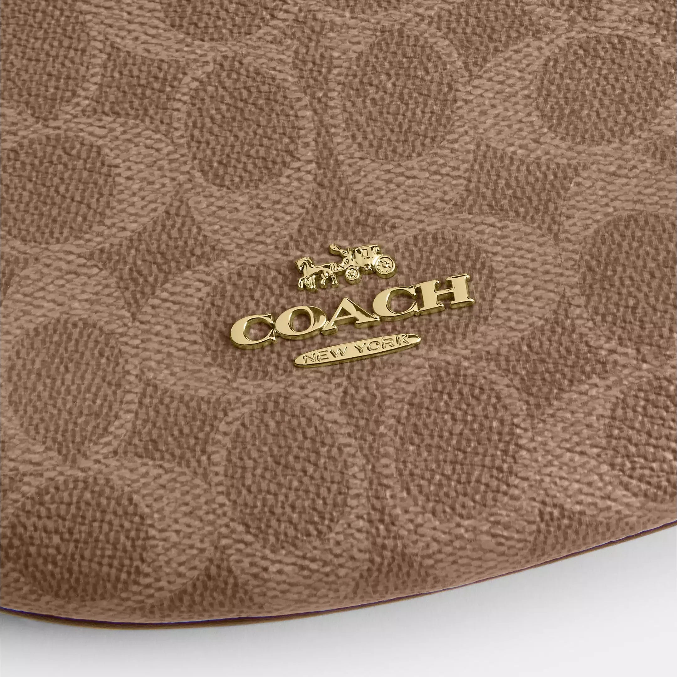 Coach Mini Payton Bag In Signature Canvas