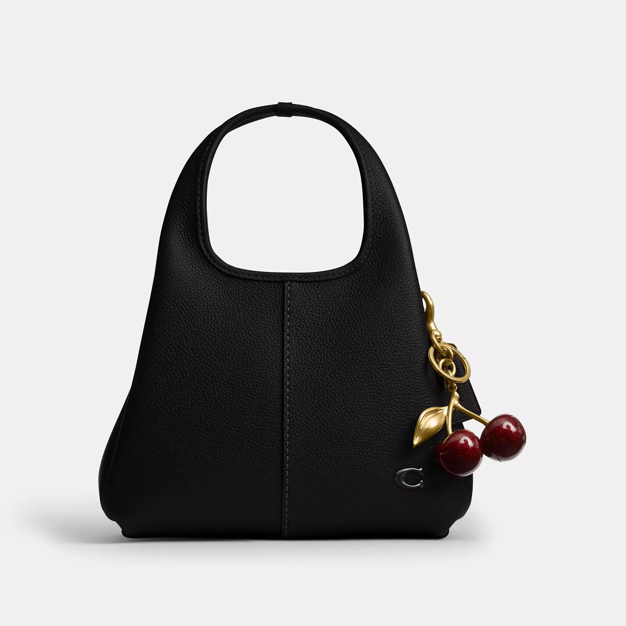 Coach Lana Shoulder Bag 23