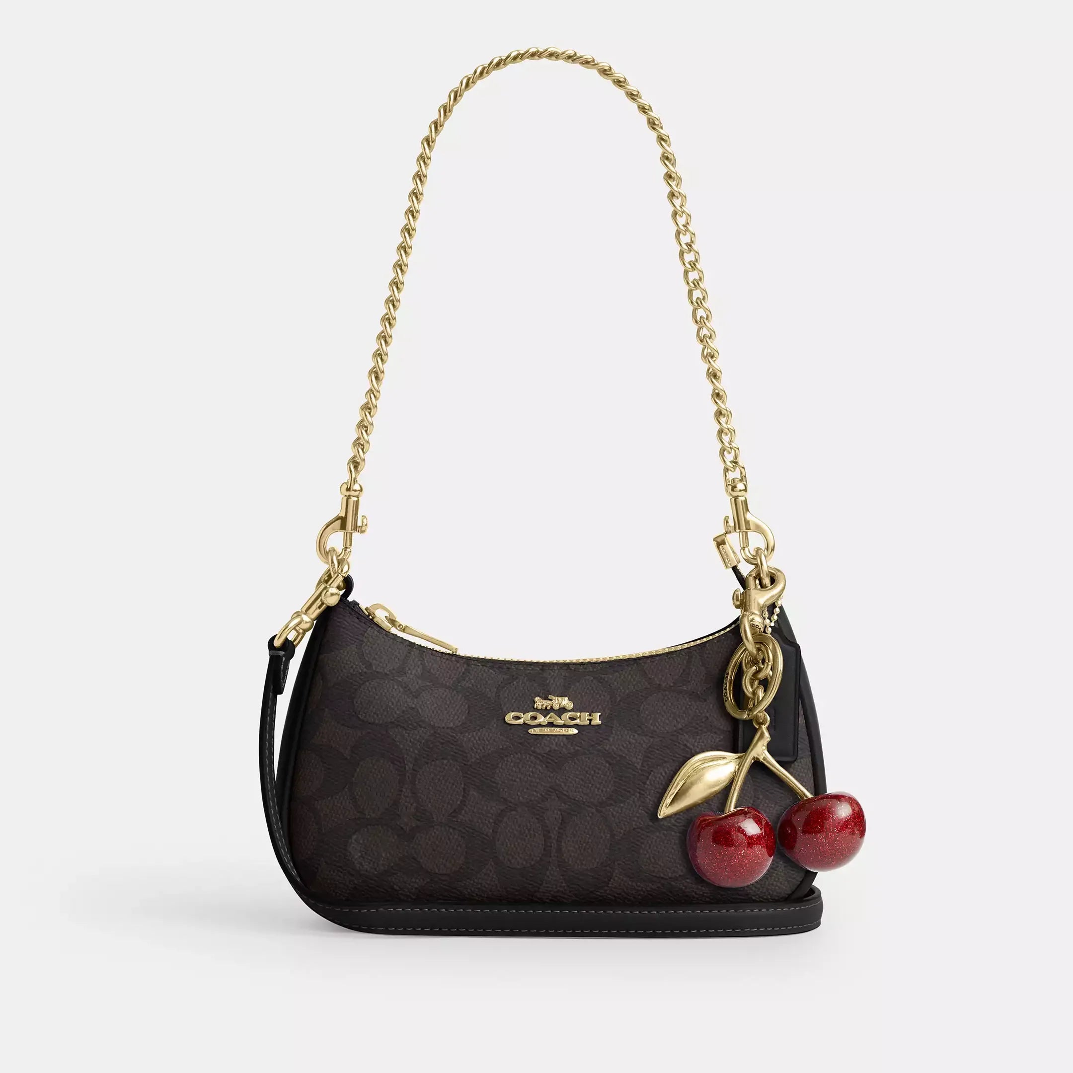 Coach Teri Mini Crossbody Bag In Signature Canvas