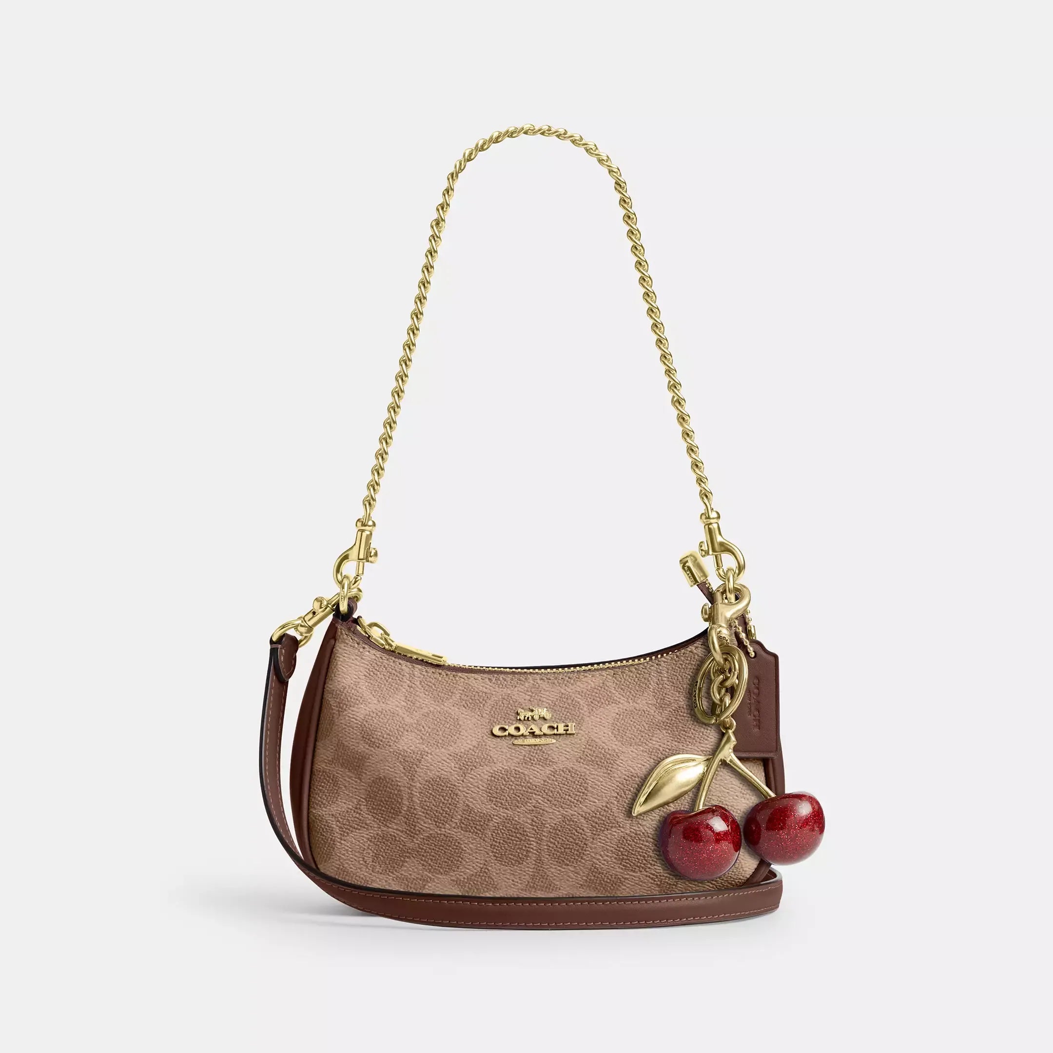 Coach Teri Mini Crossbody Bag In Signature Canvas