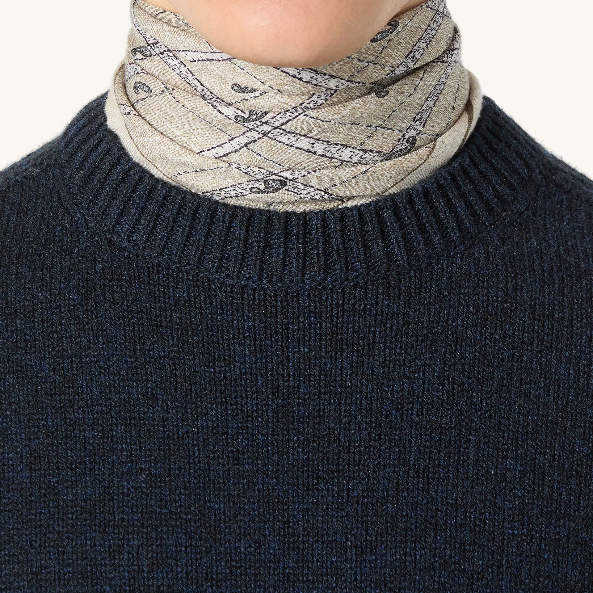 Loro Piana Carezza Crewneck in Cashmere - Coarsehair